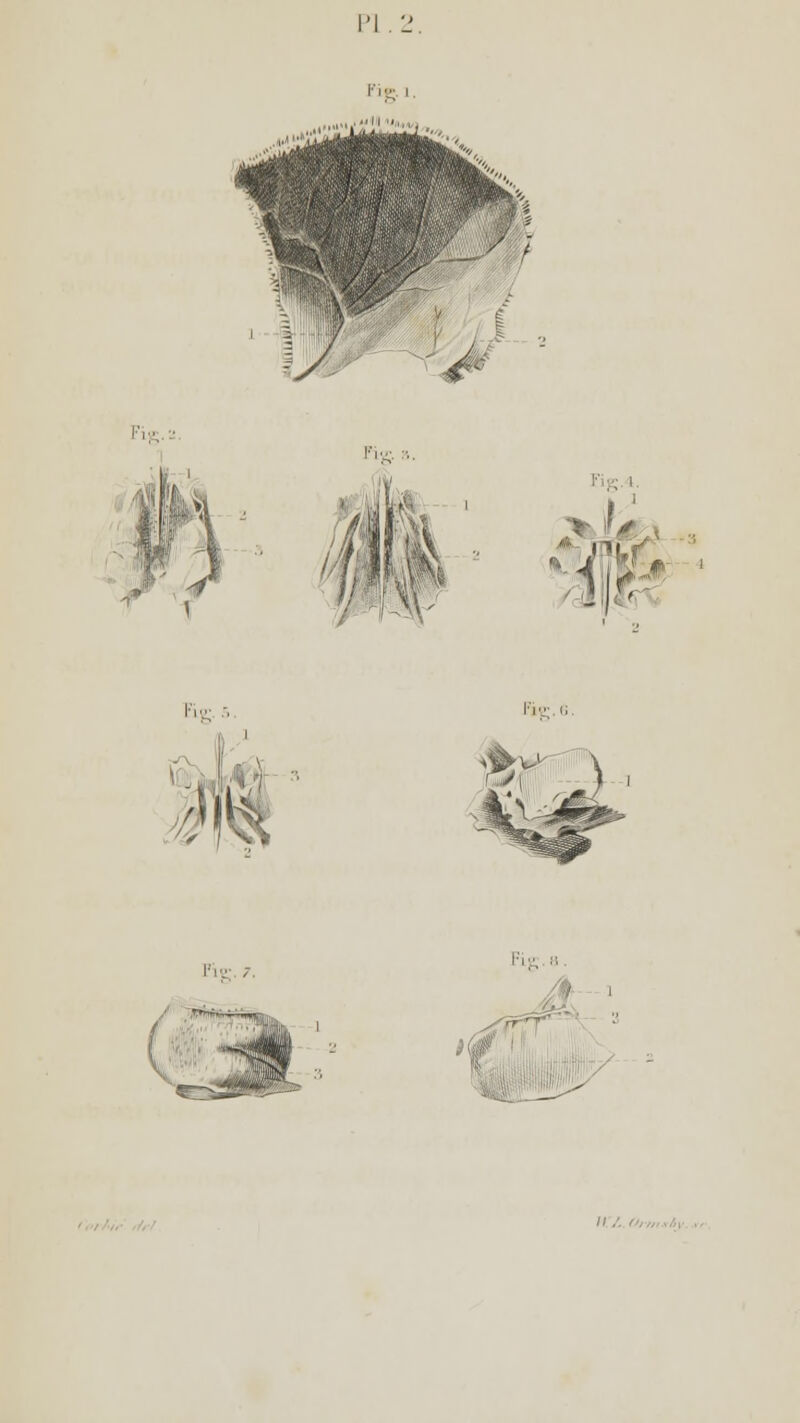 FiS '■ Fig, „ f/m 7<«V