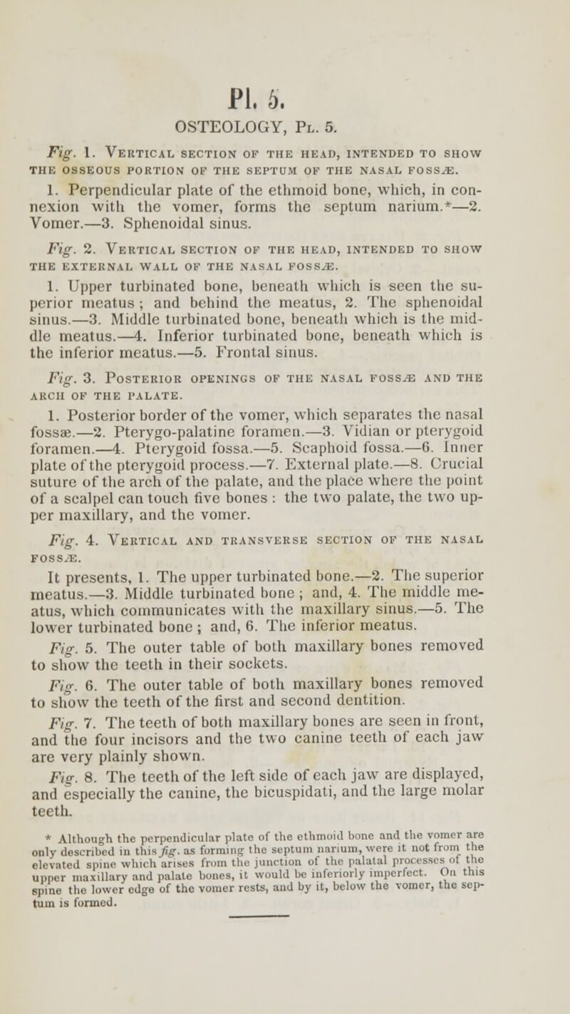 OSTEOLOGY, Pl. 5. Fig. 1. Vertical section of the head, intended to show THE OSSEOUS PORTION OF THE SEPTUM OF THE NASAL FOSSAE. 1. Perpendicular plate of the ethmoid bone, which, in con- nexion with the vomer, forms the septum narium.*—2. Vomer.—3. Sphenoidal sinus. Fig. 2. Vertical section of the head, intended to show THE EXTERNAL WALL OF THE NASAL FOSSiE. 1. Upper turbinated bone, beneath which is seen the su- perior meatus ; and behind the meatus, 2. The sphenoidal sinus.—3. Middle turbinated bone, beneath which is the mid- dle meatus.—4. Inferior turbinated bone, beneath which is the inferior meatus.—5. Frontal sinus. Fig. 3. Posterior openings of the nasal fossae and the ARCH OF THE PALATE. 1. Posterior border of the vomer, which separates the nasal fossae.—2. Pterygo-palatine foramen.—3. Vidian or pterygoid foramen.—4. Pterygoid fossa.—5. Scaphoid fossa.—6. Inner plate of the pterygoid process.—7. External plate.—8. Crucial suture of the arch of the palate, and the place where the point of a scalpel can touch five bones : the two palate, the two up- per maxillary, and the vomer. Fig. 4. Vertical and transverse section of the nasal FOSSyE. It presents, 1. The upper turbinated bone.—2. The superior meatus.—3. Middle turbinated bone ; and, 4. The middle me- atus, which communicates with the maxillary sinus.—5. The lower turbinated bone ; and, 6. The inferior meatus. Fig. 5. The outer table of both maxillary bones removed to show the teeth in their sockets. Fig. 6. The outer table of both maxillary bones removed to show the teeth of the first and second dentition. Fig. 7. The teeth of both maxillary bones are seen in front, and the four incisors and the two canine teeth of each jaw are very plainly shown. Fig. 8. The teeth of the left side of each jaw are displayed, and especially the canine, the bicuspidati, and the large molar teeth. * Although the perpendicular plate of the ethmoid bone and the vomer are only described in this Jig-, as forming the septum narium, were it not from the elevated spine which arises from the junction of the palatal processes of the upper maxillary and palate bones, it would be inferiorly imperfect. On this spine the lower edge of the vomer rests, and by it, below the vomer, the sep- tum is formed.