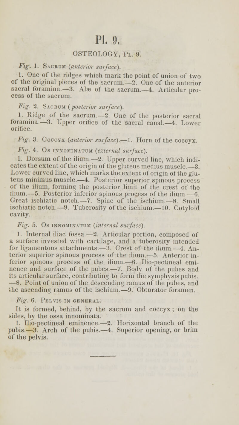 OSTEOLOGY, Pl. 9. Fig. 1. Sacrum (anterior surface). 1. One of the ridges which mark the point of union of two of the original pieces of the sacrum.—2. One of the anterior sacral foramina.—3. Alae of the sacrum.—4. Articular pro- cess of the sacrum. Fig. 2. Sacrum (posterior surface). 1. Ridge of the sacrum.—2. One of the posterior sacral foramina.—3. Upper orifice of the sacral canal.—4. Lower orifice. Fig. 3. Coccyx (anterior surface).—1. Horn of the coccyx. Fig. 4. Os innominatum (external surface). 1. Dorsum of the ilium—2. Upper curved line, which indi- cates the extent of the origin of the gluteus medius muscle.—3. Lower curved line, which marks the extent of origin of the glu- teus minimus muscle.—4. Posterior superior spinous process of the ilium, forming the posterior limit of the crest of the ilium.—5. Posterior inferior spinous process of the ilium.—6. Great ischiatic notch.—7. Spine of the ischium.—8. Small ischiatic notch.—9. Tuberosity of the ischium.—10. Cotyloid cavity. Fig. 5. Os innominatum (internal surface). 1. Internal iliac fossa.—2. Articular portion, composed of a surface invested with cartilage, and a tuberosity intended for ligamentous attachments.—3. Crest of the ihum.—4. An- terior superior spinous process of the ilium.—5. Anterior in- ferior spinous process of the ilium.—6. Uio-pectineal emi- nence and surface of the pubes.—7. Body of the pubes and its articular surface, contributing to form the symphysis pubis. —8. Point of union of the descending ramus of the pubes, and ihe ascending ramus of the ischium.—9. Obturator foramen. Fig. 6. Pelvis in general. It is formed, behind, by the sacrum and coccyx; on the sides, by the ossa innominata. 1. Ilio-pectineal eminence.—2. Horizontal branch of the pubis.—3. Arch of the pubis.—4. Superior opening, or brim of the pelvis.