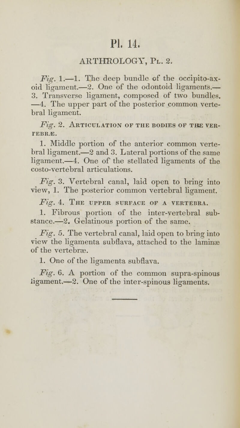 ARTHROLOGY, Pl. 2. Fig. 1.—1. The deep bundle of the occipito-ax- oid ligament.—2. One of the odontoid ligaments.— 3. Transverse ligament, composed of two bundles. —4. The upper part of the posterior common verte- bral ligament. Fig. 2. Articulation of the bodies op the ver- tebrae. 1. Middle portion of the anterior common verte- bral ligament.—2 and 3. Lateral portions of the same ligament.—4. One of the stellated ligaments of the costo-vertebral articulations. Fig. 3. Vertebral canal, laid open to bring into view, 1. The posterior common vertebral ligament. Fig. 4. The upper surface of a vertebra. 1. Fibrous portion of the inter-vertebral sub- stance.—2. Gelatinous portion of the same. Fig. 5. The vertebral canal, laid open to bring into view the ligamenta subflava, attached to the laminae of the vertebrae. 1. One of the ligamenta subflava. Fig. 6. A portion of the common supra-spinous ligament.—2. One of the inter-spinous ligaments.