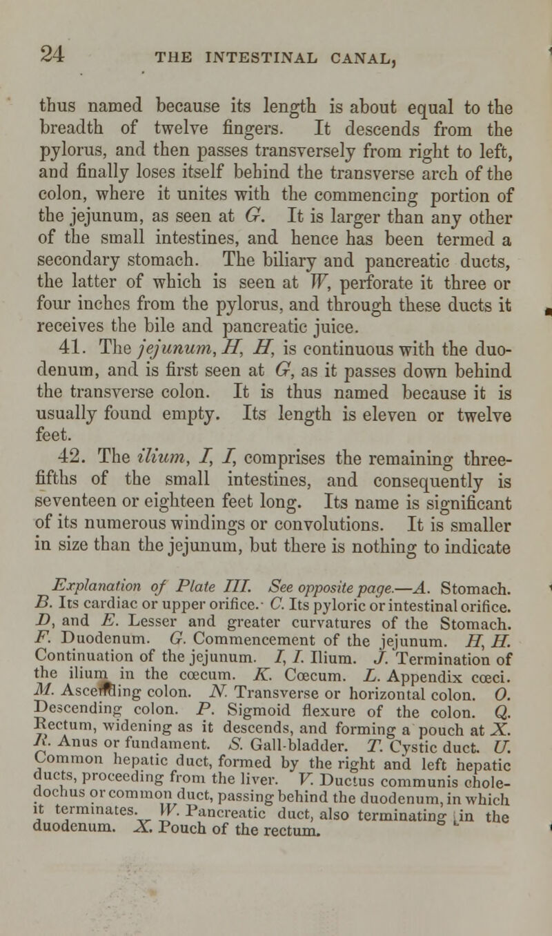 thus named because its length is about equal to the breadth of twelve fingers. It descends from the pylorus, and then passes transversely from right to left, and finally loses itself behind the transverse arch of the colon, where it unites with the commencing portion of the jejunum, as seen at G. It is larger than any other of the small intestines, and hence has been termed a secondary stomach. The biliary and pancreatic ducts, the latter of which is seen at W, perforate it three or four inches from the pylorus, and through these ducts it receives the bile and pancreatic juice. 41. The jejunum, H, H, is continuous with the duo- denum, and is first seen at G, as it passes down behind the transverse colon. It is thus named because it is usually found empty. Its length is eleven or twelve feet. 42. The ilium, I, I, comprises the remaining three- fifths of the small intestines, and consequently is seventeen or eighteen feet long. Its name is significant of its numerous windings or convolutions. It is smaller in size than the jejunum, but there is nothing to indicate Explanation of Plate III. See opposite page.—A. Stomach. B. Its cardiac or upper orifice.- C. Its pyloric or intestinal orifice. D, and E. Lesser and greater curvatures of the Stomach. F. Duodenum. G. Commencement of the jejunum. H, H. Continuation of the jejunum. /, I. Ilium. J. Termination of the ilium in the ccecum. K. Ccecum. L. Appendix cceci. M. AsceTOing colon. N. Transverse or horizontal colon. 0. Descending colon. P. Sigmoid flexure of the colon. Q. Rectum, widening as it descends, and forming a pouch at X. It. Anus or fundament. S. Gallbladder. T. Cystic duct. U. Common hepatic duct, formed by the right and left hepatic ducts, proceeding from the liver. V. Ductus communis chole- dochus or common duct, passing behind the duodenum, in which it termmates. W. Pancreatic duct, also terminating Lin the duodenum. X. Pouch of the rectum.