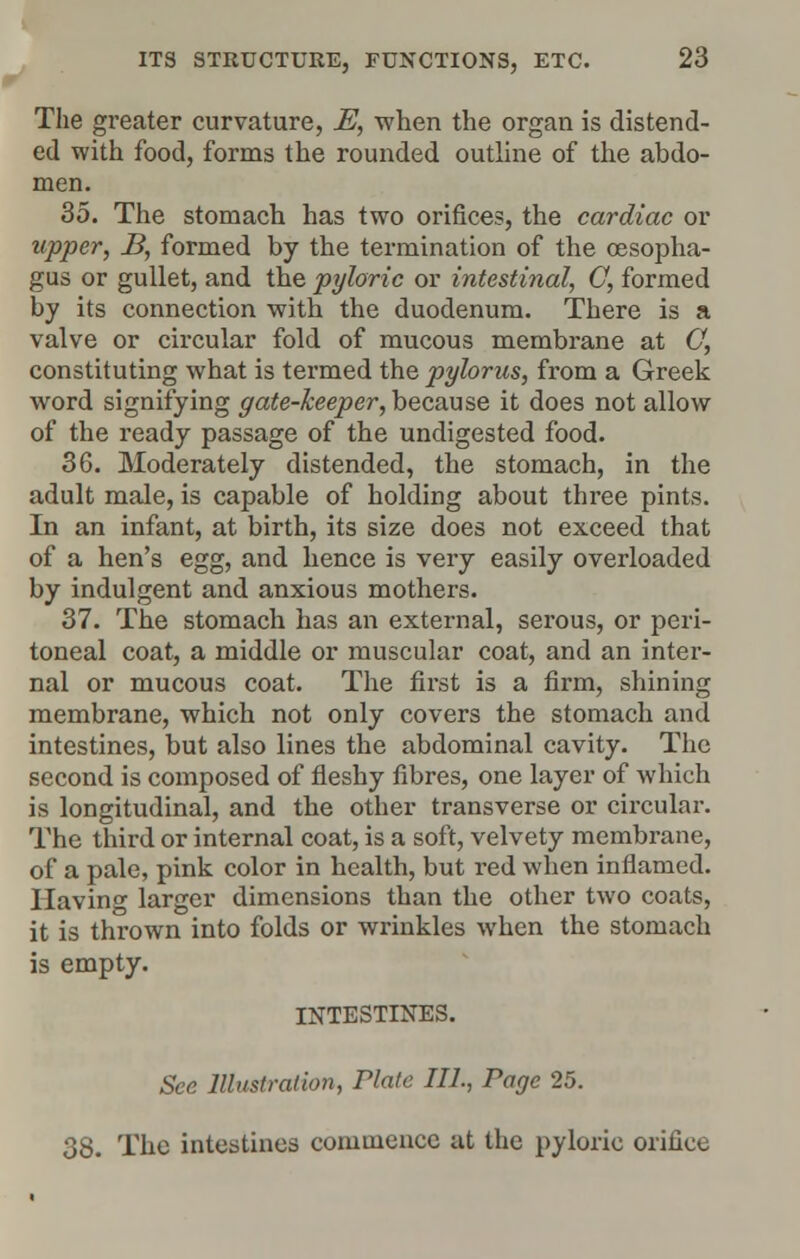 The greater curvature, E, when the organ is distend- ed with food, forms the rounded outline of the abdo- men. 35. The stomach has two orifices, the cardiac or upper, B, formed by the termination of the oesopha- gus or gullet, and the pyloric or intestinal, 0, formed by its connection with the duodenum. There is a valve or circular fold of mucous membrane at (7, constituting what is termed the pylorus, from a Greek word signifying gate-keeper, because it does not allow of the ready passage of the undigested food. 36. Moderately distended, the stomach, in the adult male, is capable of holding about three pints. In an infant, at birth, its size does not exceed that of a hen's egg, and hence is very easily overloaded by indulgent and anxious mothers. 37. The stomach has an external, serous, or peri- toneal coat, a middle or muscular coat, and an inter- nal or mucous coat. The first is a firm, shining membrane, which not only covers the stomach and intestines, but also lines the abdominal cavity. The second is composed of fleshy fibres, one layer of which is longitudinal, and the other transverse or circular. The third or internal coat, is a soft, velvety membrane, of a pale, pink color in health, but red when inflamed. Having larger dimensions than the other two coats, it is thrown into folds or wrinkles when the stomach is empty. INTESTINES. See Illustration, Plate III., Page 25. 38. The intestines commence at the pyloric orifice