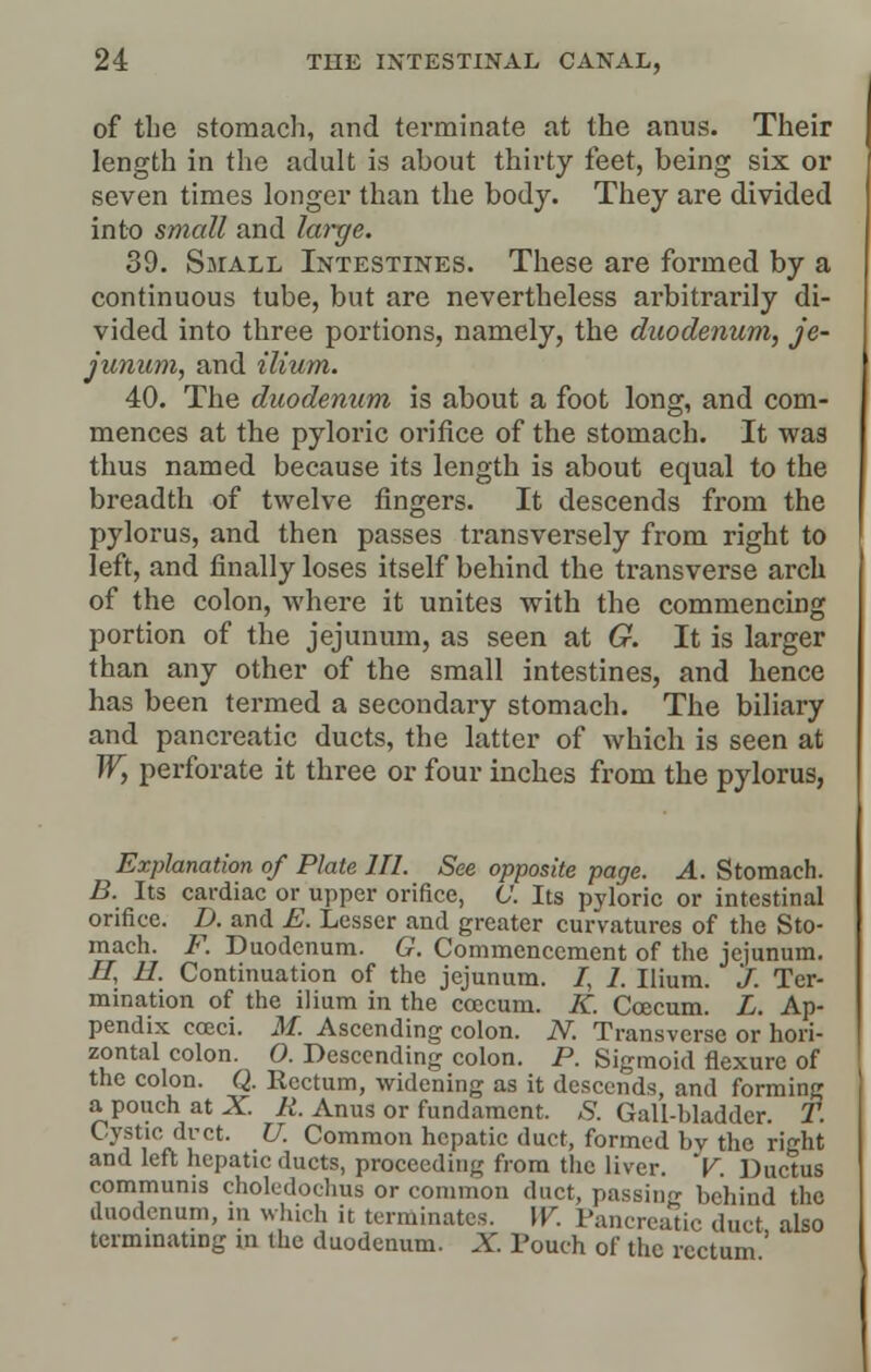 of the stomach, and terminate at the anus. Their length in the adult is about thirty feet, being six or seven times longer than the body. They are divided into small and large. 39. Small Intestines. These are formed by a continuous tube, but are nevertheless arbitrarily di- vided into three portions, namely, the duodenum, je- junum, and ilium. 40. The duodenum is about a foot long, and com- mences at the pyloric orifice of the stomach. It was thus named because its length is about equal to the breadth of twelve fingers. It descends from the pylorus, and then passes transversely from right to left, and finally loses itself behind the transverse arch of the colon, where it unites with the commencing portion of the jejunum, as seen at G. It is larger than any other of the small intestines, and hence has been termed a secondary stomach. The biliary and pancreatic ducts, the latter of which is seen at W, perforate it three or four inches from the pylorus, Explanation of Plate HI. See opposite page. A. Stomach. B. Its cardiac or upper orifice, V. Its pyloric or intestinal orifice. D. and E. Lesser and greater curvatures of the Sto- mach. F. Duodenum. G. Commencement of the jejunum. H, H. Continuation of the jejunum. I, 7. Ilium. J. Ter- mination of the ilium in the ccecum. K. Ccecum. L. Ap- pendix cceci. M. Ascending colon. N. Transverse or hori- zontal colon. 0. Descending colon. P. Sigmoid flexure of the colon. Q. Rectum, widening as it descends, and forming a pouch at X. R. Anus or fundament. ,S'. Gall-bladder. T. Cystic dret. U. Common hepatic duct, formed by the right and left hepatic ducts, proceeding from the liver. V. Ductus communis choledochus or common duct, passino- behind the duodenum, in which it terminates. W. Pancreatic duet also terminating in the duodenum. X. Touch of the rectum