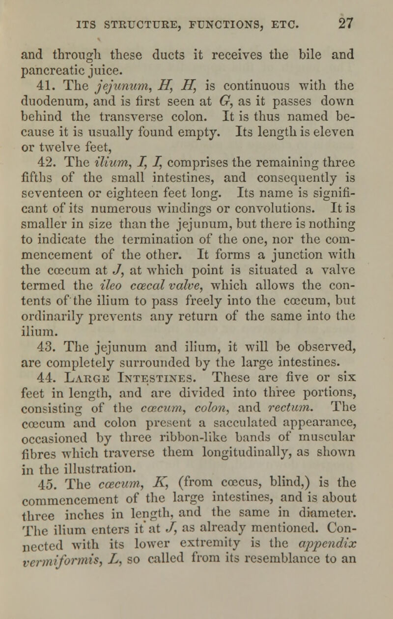 and through these ducts it receives the bile and pancreatic juice. 41. The jejunum, H, H, is continuous with the duodenum, and is first seen at G, as it passes down behind the transverse colon. It is thus named be- cause it is usually found empty. Its length is eleven or twelve feet, 42. The ilium, I, I, comprises the remaining three fifths of the small intestines, and consequently is seventeen or eighteen feet long. Its name is signifi- cant of its numerous windings or convolutions. It is smaller in size than the jejunum, but there is nothing to indicate the termination of the one, nor the com- mencement of the other. It forms a junction with the coecum at J, at which point is situated a valve termed the ilco ccecal valve, which allows the con- tents of the ilium to pass freely into the coecum, but ordinarily prevents any return of the same into the ilium. 43. The jejunum and ilium, it will be observed, are completely surrounded by the large intestines. 44. Large Intestines. These are five or six feet in length, and are divided into three portions, consisting of the coecum, colon, and rectum. The coecum and colon present a sacculated appearance, occasioned by three ribbon-like bands of muscular fibres which traverse them longitudinally, as shown in the illustration. 45. The coecum, K, (from coccus, blind,) is the commencement of the large intestines, and is about three inches in length, and the same in diameter. The ilium enters it'at ,/, as already mentioned. Con- nected with its lower extremity is the appendix vcrmiformis, L, so called from its resemblance to an