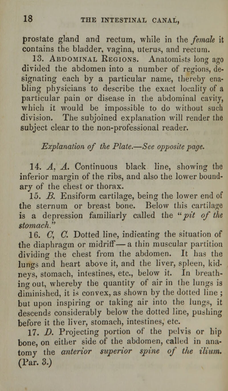 prostate gland and rectum, while in the female it contains the bladder, vagina, uterus, and rectum. 13. Abdominal Regions. Anatomists long ago divided the abdomen into a number of regions, de- signating each by a particular name, thereby ena- bling physicians to describe the exact locality of a particular pain or disease in the abdominal cavity, which it would be impossible to do without such division. The subjoined explanation will render the subject clear to the non-professional reader. Explanation of the Plate.—See opposite page. 14. A. A. Continuous black line, showing the inferior margin of the ribs, and also the lower bound- ary of the chest or thorax. 15. B. Ensiform cartilage, being the lower end of the sternum or breast bone. Below this cartilage is a depression familiarly called the pit of the stomach. 16. C, C. Dotted line, indicating the situation of the diaphragm or midriff—a thin muscular partition dividing the chest from the abdomen. It has the lungs and heart above it, and the liver, spleen, kid- neys, stomach, intestines, etc., below it. In breath- ing out, whereby the quantity of air in (he Iung8 is diminished, it is convex, as shown by the dotted line ; but upon inspiring or taking air into the lungs, it descends considerably below the dotted line, pushing before it the liver, stomach, intestines, etc. 17. D. Projecting portion of the pelvis or hip bone, on either side of the abdomen, called in ana- tomy the anterior superior spine of the ilium. (Par. 3.)