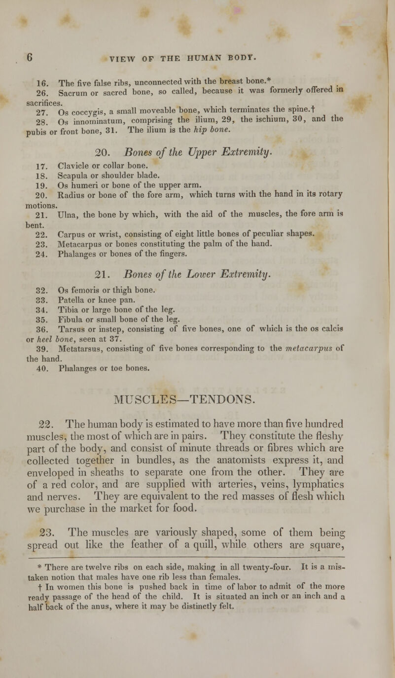 16. The five false ribs, unconnected with the breast bone.* 26. Sacrum or sacred bone, so called, because it was formerly offered in S3.cnfi.C6s 27. Os coccygis, a small moveable bone, which terminates the spine.t 28. Os innominatum, comprising the ilium, 29, the ischium, 30, and the pubis or front bone, 31. The ilium is the hip bone. 20. Bones of the Upper Extremity. 17. Clavicle or collar bone. 18. Scapula or shoulder blade. 19. Os humeri or bone of the upper arm. 20. Radius or bone of the fore arm, which turns with the hand in its rotary motions. 21. Ulna, the bone by which, with the aid of the muscles, the fore arm is hent. 22. Carpus or wrist, consisting of eight little bones of peculiar shapes. 23. Metacarpus or bones constituting the palm of the hand. 24. Phalanges or bones of the fingers. 21. Bones of the Lower Extremity. 32. Os femoris or thigh bone. 33. Patella or knee pan. 34. Tibia or large bone of the leg. 35. Fibula or small bone of the leg. 36. Tarsus or instep, consisting of five bones, one of which is the os calcis or heel bone, seen at 37. 39. Metatarsus, consisting of five bones corresponding to the metacarpus of the hand. 40. Phalanges or toe bones. MUSCLES—TENDONS. 22. The human body is estimated to have more than five hundred muscles, the most of which are in pairs. They constitute the fleshy part of the body, and consist of minute threads or fibres which are collected together in bundles, as the anatomists express it, and enveloped in sheaths to separate one from the other. They are of a red color, and are supplied with arteries, veins, lymphatics and nerves. They are equivalent to the red masses of flesh which we purchase in the market for food. 23. The muscles are variously shaped, some of them being spread out like the feather of a quill, while others are square, * There are twelve ribs on each side, making in all twenty-four. It is a mis- taken notion that males have one rib less than females. t In women this bone is pushed back in time of labor to admit of the more ready passage of the head of the child. It is situated an inch or an inch and a halfback of the anus, where it may be distinctly felt.