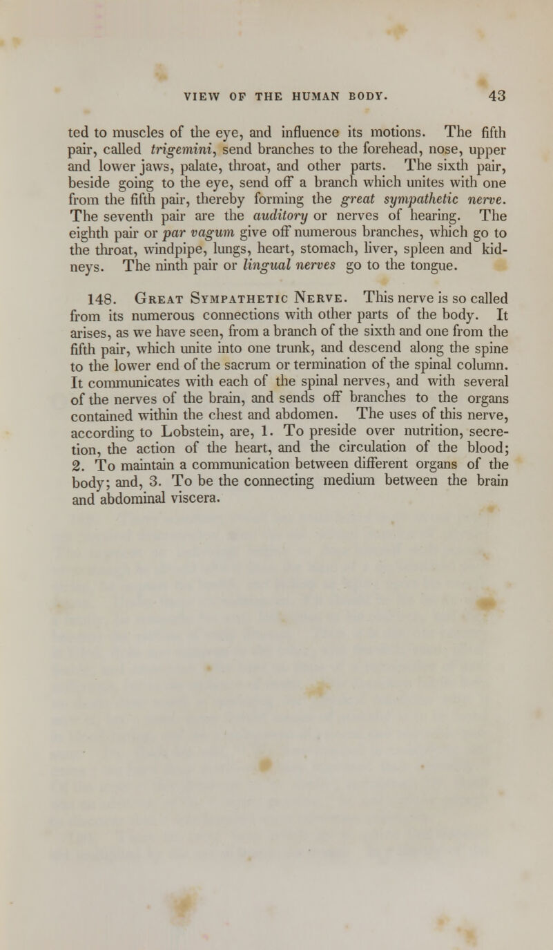 ted to muscles of the eye, and influence its motions. The fifth pair, called trigemini, send branches to the forehead, nose, upper and lower jaws, palate, throat, and other parts. The sixth pair, beside going to the eye, send off a branch which unites with one from the fifth pair, thereby forming the great sympathetic nerve. The seventh pair are the auditory or nerves of hearing. The eighth pair or par vagum give off numerous branches, which go to the throat, windpipe, lungs, heart, stomach, liver, spleen and kid- neys. The ninth pair or lingual nerves go to the tongue. 148. Great Sympathetic Nerve. This nerve is so called from its numerous connections with other parts of the body. It arises, as we have seen, from a branch of the sixth and one from the fifth pair, which unite into one trunk, and descend along the spine to the lower end of the sacrum or termination of the spinal column. It communicates with each of the spinal nerves, and with several of the nerves of the brain, and sends off branches to the organs contained within the chest and abdomen. The uses of this nerve, according to Lobstein, are, 1. To preside over nutrition, secre- tion, the action of the heart, and the circulation of the blood; 2. To maintain a communication between different organs of the body; and, 3. To be the connecting medium between the brain and abdominal viscera.