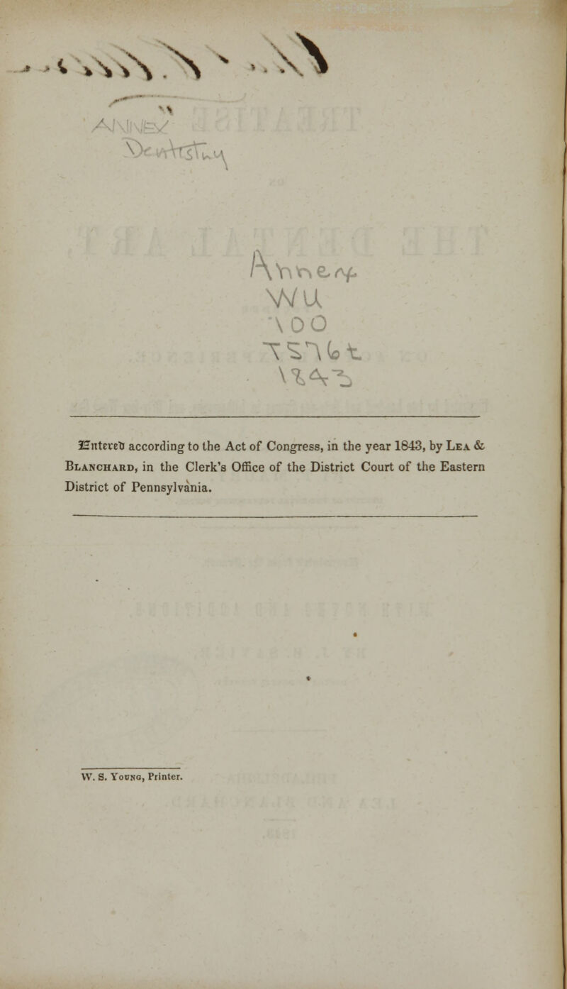 A AOO Hntereti according to the Act of Congress, in the year 1843, by Lea & Blanchard, in the Clerk's Office of the District Court of the Eastern District of Pennsylvania. VV. S. Yoono, Printer.