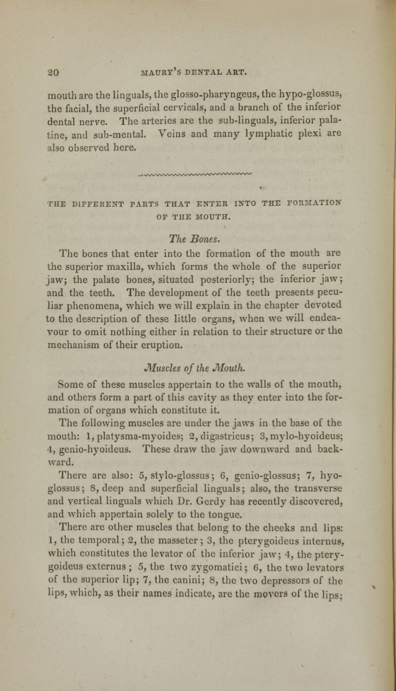 mouth are the Unguals, the glosso-pharyngeus, the hypo-glossus, the facial, the superficial cervicals, and a branch of the inferior dental nerve. The arteries are the sub-linguals, inferior pala- tine, and sub-mental. Veins and many lymphatic plexi are also observed here. THE DIFFERENT PARTS THAT ENTER INTO THE FORMATION OF THE MOUTH. The Bones. The bones that enter into the formation of the mouth are the superior maxilla, which forms the whole of the superior jaw; the palate bones, situated posteriorly; the inferior jaw; and the teeth. The development of the teeth presents pecu- liar phenomena, which we will explain in the chapter devoted to the description of these little organs, when we will endea- vour to omit nothing either in relation to their structure or the mechanism of their eruption. JWuscles of the Jllouth. Some of these muscles appertain to the walls of the mouth, and others form a part of this cavity as they enter into the for- mation of organs which constitute it. The following muscles are under the jaws in the base of the mouth: 1, platysma-myoides; 2, digastricus; 3,mylo-hyoideus; 4, genio-hyoideus. These draw the jaw downward and back- ward. There are also: 5, stylo-glossus; 6, genio-glossus; 7, hyo- glossus; S, deep and superficial Unguals; also, the transverse and vertical Unguals which Dr. Gerdy has recently discovered, and which appertain solely to the tongue. There are other muscles that belong to the cheeks and lips: 1, the temporal; 2, the masseter; 3, the pterygoideus interims, which constitutes the levator of the inferior jaw; 4, the ptery- goideus externus ; 5, the two zygomatici; 6, the two levators of the superior lip; 7, the canini; 8, the two depressors of the lips, which, as their names indicate, are the movers of the lips;