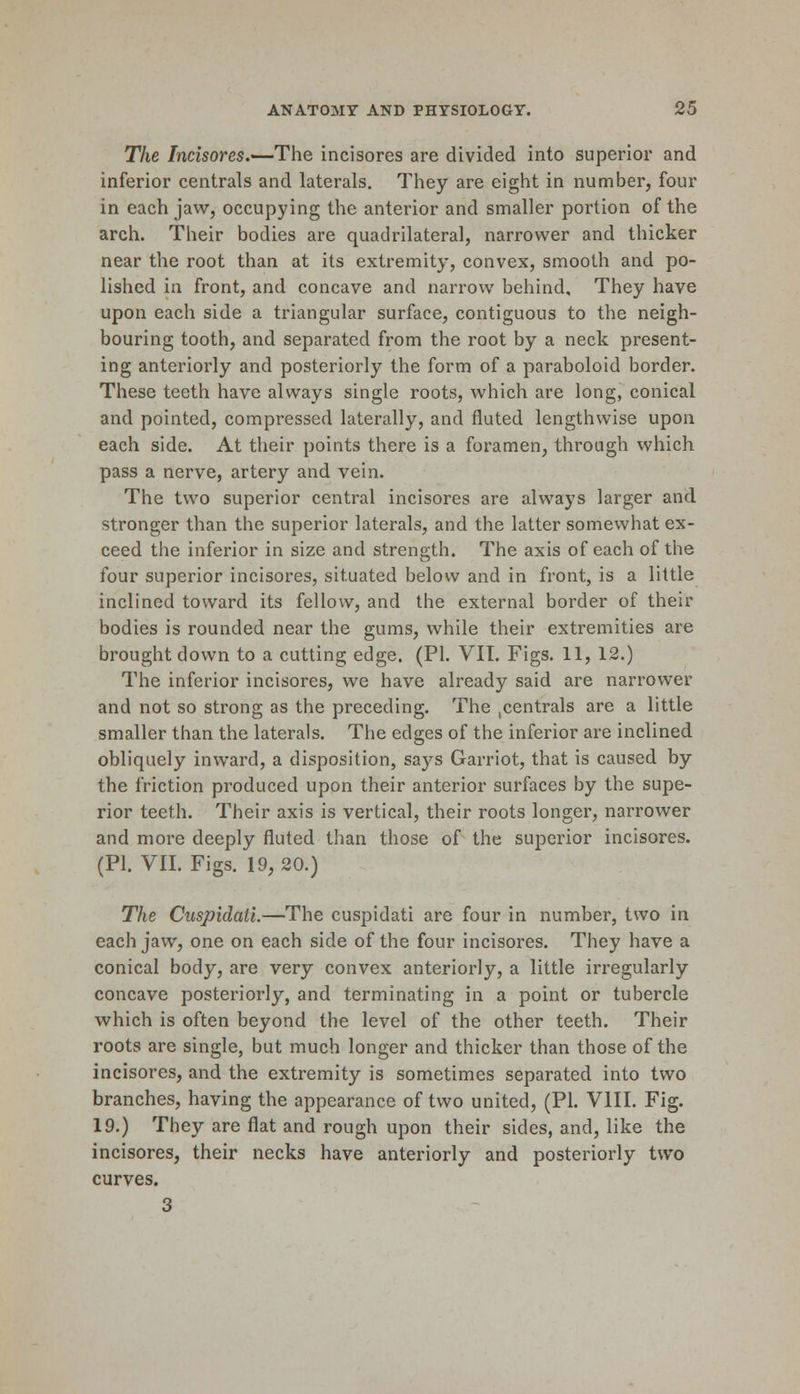 The Incisores.—The incisores are divided into superior and inferior centrals and laterals. They are eight in number, four in each jaw, occupying the anterior and smaller portion of the arch. Their bodies are quadrilateral, narrower and thicker near the root than at its extremity, convex, smooth and po- lished in front, and concave and narrow behind. They have upon each side a triangular surface, contiguous to the neigh- bouring tooth, and separated from the root by a neck present- ing anteriorly and posteriorly the form of a paraboloid border. These teeth have always single roots, which are long, conical and pointed, compressed laterally, and fluted lengthwise upon each side. At their points there is a foramen, through which pass a nerve, artery and vein. The two superior central incisores are always larger and stronger than the superior laterals, and the latter somewhat ex- ceed the inferior in size and strength. The axis of each of the four superior incisores, situated below and in front, is a little inclined toward its fellow, and the external border of their bodies is rounded near the gums, while their extremities are brought down to a cutting edge. (PI. VII. Figs. 11, 12.) The inferior incisores, we have already said are narrower and not so strong as the preceding. The ,centrals are a little smaller than the laterals. The edges of the inferior are inclined obliquely inward, a disposition, says Garriot, that is caused by the friction produced upon their anterior surfaces by the supe- rior teeth. Their axis is vertical, their roots longer, narrower and more deeply fluted than those of the superior incisores. (PI. VII. Figs. 19, 20.) The Cuspidati.—The cuspidati are four in number, two in each jaw, one on each side of the four incisores. They have a conical body, are very convex anteriorly, a little irregularly concave posteriorly, and terminating in a point or tubercle which is often beyond the level of the other teeth. Their roots are single, but much longer and thicker than those of the incisores, and the extremity is sometimes separated into two branches, having the appearance of two united, (PI. VIII. Fig. 19.) They are flat and rough upon their sides, and, like the incisores, their necks have anteriorly and posteriorly two curves. 3