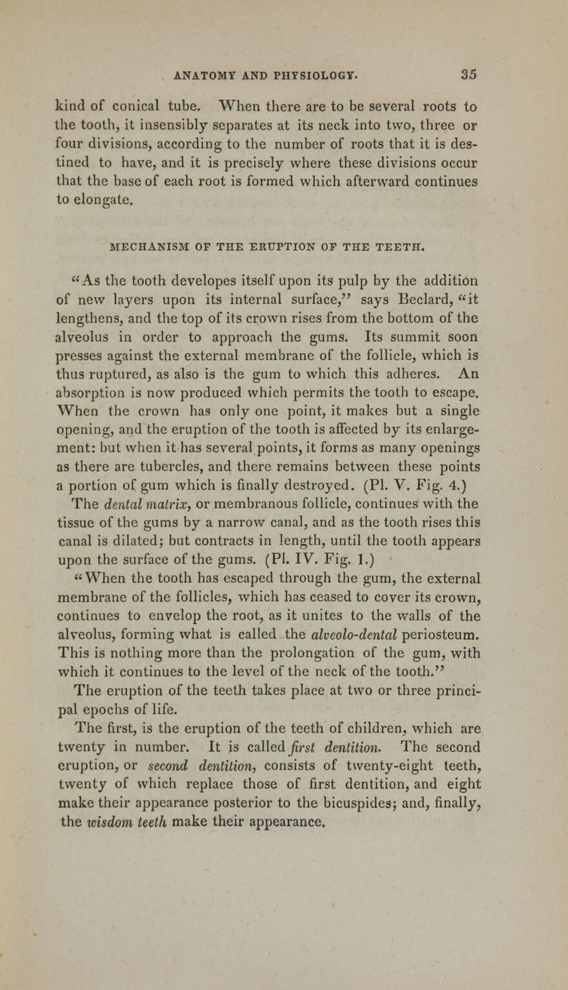 kind of conical tube. When there are to be several roots to the tooth, it insensibly separates at its neck into two, three or four divisions, according to the number of roots that it is des- tined to have, and it is precisely where these divisions occur that the base of each root is formed which afterward continues to elongate. MECHANISM OF THE ERUPTION OP THE TEETH. As the tooth developes itself upon its pulp by the addition of new layers upon its internal surface, says Beclard, it lengthens, and the top of its crown rises from the bottom of the alveolus in order to approach the gums. Its summit soon presses against the external membrane of the follicle, which is thus ruptured, as also is the gum to which this adheres. An absorption is now produced which permits the tooth to escape. When the crown has only one point, it makes but a single opening, and the eruption of the tooth is affected by its enlarge- ment: but when it has several points, it forms as many openings as there are tubercles, and there remains between these points a portion of gum which is finally destroyed. (PL V. Fig. 4.) The dental matrix, or membranous follicle, continues with the tissue of the gums by a narrow canal, and as the tooth rises this canal is dilated; but contracts in length, until the tooth appears upon the surface of the gums. (PL IV. Fig. 1.) When the tooth has escaped through the gum, the external membrane of the follicles, which has ceased to cover its crown, continues to envelop the root, as it unites to the walls of the alveolus, forming what is called the alveolo-dcntal periosteum. This is nothing more than the prolongation of the gum, with which it continues to the level of the neck of the tooth. The eruption of the teeth takes place at two or three princi- pal epochs of life. The first, is the eruption of the teeth of children, which are twenty in number. It is called first dentition. The second eruption, or second dentition, consists of twenty-eight teeth, twenty of which replace those of first dentition, and eight make their appearance posterior to the bicuspides; and, finally, the wisdom teeth make their appearance.