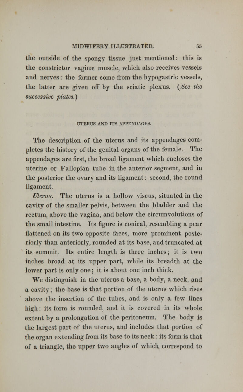 the outside of the spongy tissue just mentioned: this is the constrictor vaginae muscle, which also receives vessels and nerves: the former come from the hypogastric vessels, the latter are given off by the sciatic plexus. (See the successive plates.) UTERUS AND ITS APPENDAGES. The description of the uterus and its appendages com- pletes the history of the genital organs of the female. The appendages are first, the broad ligament which encloses the uterine or Fallopian tube in the anterior segment, and in the posterior the ovary and its ligament: second, the round ligament. Uterus. The uterus is a hollow viscus, situated in the cavity of the smaller pelvis, between the bladder and the rectum, above the vagina, and below the circumvolutions of the small intestine. Its figure is conical, resembling a pear flattened on its two opposite faces, more prominent poste- riorly than anteriorly, rounded at its base, and truncated at its summit. Its entire length is three inches; it is two inches broad at its upper part, while its breadth at the lower part is only one; it is about one inch thick. We distinguish in the uterus a base, a body, a neck, and a cavity; the base is that portion of the uterus which rises above the insertion of the tubes, and is only a few lines high: its form is rounded, and it is covered in its whole extent by a prolongation of the peritoneum. The body is the largest part of the uterus, and includes that portion of the organ extending from its base to its neck: its form is that of a triangle, the upper two angles of which correspond to