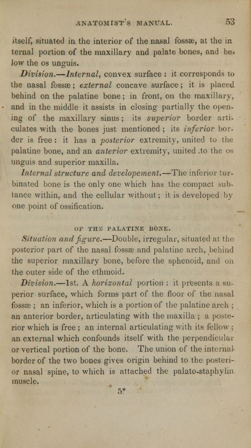 itself, situated in the interior of the nasal fossae, at the in ternal portion of the maxillary and palate bones, and be. low the os unguis. Division.—Internal, convex surface : it corresponds to the nasal fossae; external concave surface; it is placed behind on the palatine bone; in front, on the maxillary, and in the middle it assists in closing partially the open- ing of the maxillary sinus; its superior border arti- culates with the bones just mentioned ; its inferior bor- der is free : it has a posterior extremity, united to the palatine bone, and an anterior extremity, united .to the os unguis and superior maxilla. Internal structure and developement.—The inferior tur- binated bone is the only one which has the compact sub- lance within, and the cellular without; it is developed by one point of ossification. OF THE PALATINE BONE. Situation and figure.—Double, irregular, situated at the posterior part of the nasal fossa; and palatine arch, behind the superior maxillary bone, before the sphenoid, and oh the outer side of the ethmoid. Division.—1st. A horizontal portion : it presents a su- perior surface, which forms part of the floor of the nasal fossae ; an inferior, which is a portion of the palatine arch ; an anterior border, articulating with the maxilla ; a poste- rior which is free ; an internal articulating with its fellow ; an external which confounds itself with the perpendicular or vertical portion of the bone. The union of the internal border of the two bones gives origin behind to the posteri- or nasal spine, to which is attached the palato-staphylin muscle. 5*