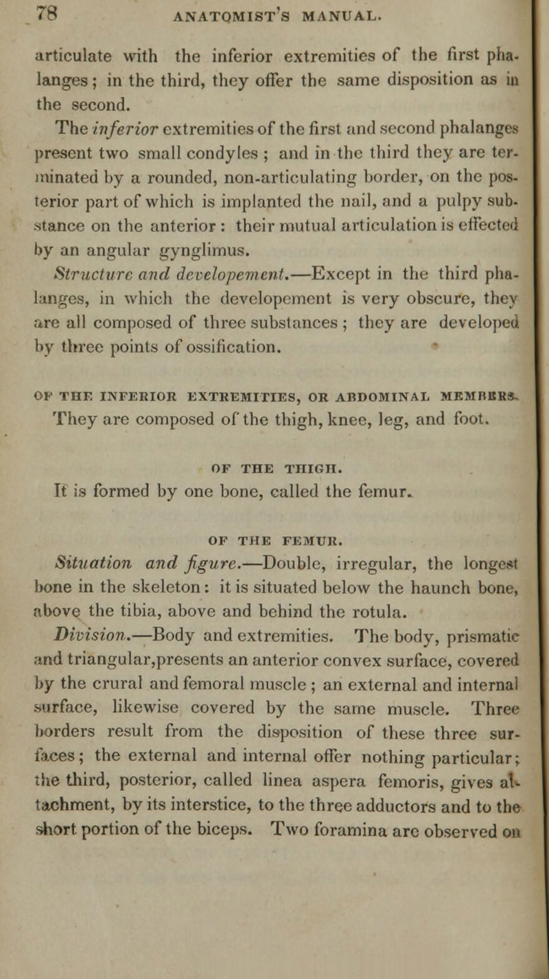 articulate with the inferior extremities of the first pha. langes; in the third, they offer the same disposition as in the second. The inferior extremities of the first and second phalanges present two small condyles ; and in the third they are ter- minated by a rounded, non-articulating border, on the pos- terior part of which is implanted the nail, and a pulpy sub- stance on the anterior : their mutual articulation is effected by an angular gynglimus. Structure and developement.—Except in the third pha- langes, in which the developement is very obscure, they are all composed of three substances ; they are developed by three points of ossification. OF THE INFERIOR EXTREMITIES, OR ABDOMINAL MKMBBRS- They are composed of the thigh, knee, leg, and foot. OF THE THIGH. It is formed by one bone, called the femur. OF THE FEMUR. Situation and figure.—Double, irregular, the longest bone in the skeleton: it is situated below the haunch bone, above the tibia, above and behind the rotula. Division.—Body and extremities. The body, prismatic and triangular,presents an anterior convex surface, covered by the crural and femoral muscle ; an external and internal surface, likewise covered by the same muscle. Three borders result from the disposition of these three sur- faces; the external and internal offer nothing particular; the third, posterior, called linea aspera femoris, gives at- tachment, by its interstice, to the three adductors and to the short portion of the biceps. Two foramina are observed on