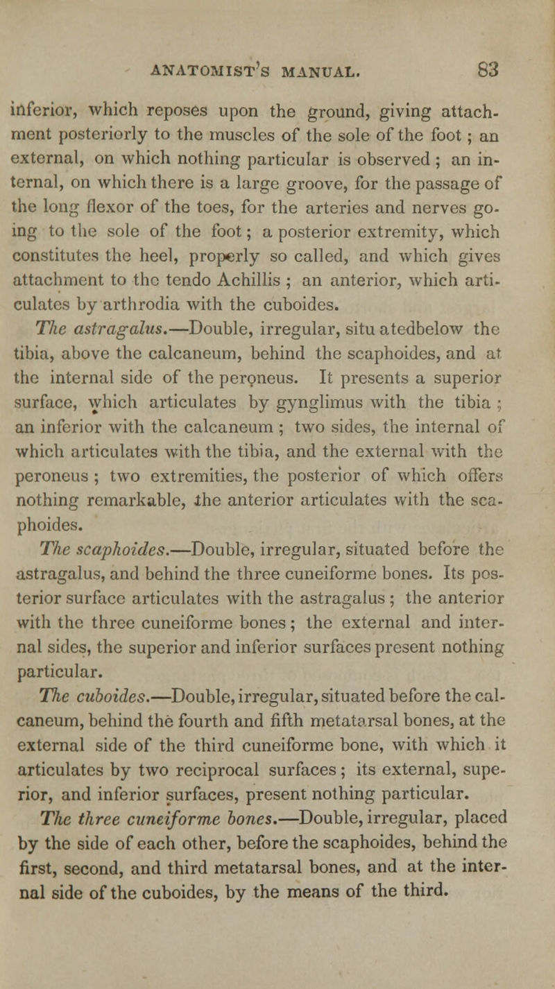 inferior, which reposes upon the ground, giving attach- ment posteriorly to the muscles of the sole of the foot; an external, on which nothing particular is observed ; an in- ternal, on which there is a large groove, for the passage of the long flexor of the toes, for the arteries and nerves go- ing to the sole of the foot; a posterior extremity, which constitutes the heel, properly so called, and which gives attachment to the tendo Achillis ; an anterior, which arti- culates by arthrodia with the cuboides. The astragalus.—Double, irregular, situ atedbelow the tibia, above the calcaneum, behind the scaphoides, and at the internal side of the peroneus. It presents a superior surface, which articulates by gynglimus with the tibia ; an inferior with the calcaneum; two sides, the internal of which articulates with the tibia, and the external with the peroneus ; two extremities, the posterior of which offers nothing remarkable, the anterior articulates with the sca- phoides. The scaphoides.—Double, irregular, situated before the astragalus, and behind the three cuneiforme bones. Its pos- terior surface articulates with the astragalus ; the anterior with the three cuneiforme bones; the external and inter- nal sides, the superior and inferior surfaces present nothing particular. The cuboides.—Double, irregular, situated before the cal- caneum, behind the fourth and fifth metatarsal bones, at the external side of the third cuneiforme bone, with which it articulates by two reciprocal surfaces; its external, supe- rior, and inferior surfaces, present nothing particular. The three cuneiforme bones.—Double, irregular, placed by the side of each other, before the scaphoides, behind the first, second, and third metatarsal bones, and at the inter- nal side of the cuboides, by the means of the third.