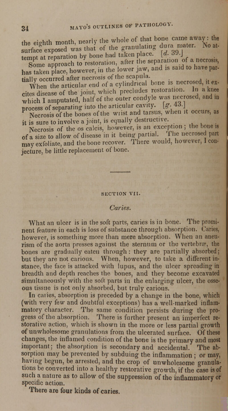 the eighth month, nearly the whole ^^^^1^0^ surface exposed was that of the granu lat.ng dura n ater. No at- temot at reparation by bone had taken place. [d.6J.\ Some approach to restoration, after the separation of a necrosis, has taTen place, however, in the lower jaw, and is said to have par- tial! v occurred after necrosis of the scapula. When the articular end of a cylindrical bone is necrosed, it ex- cites disease of the joint, which precludes restoration. In a knee which I amputated/half of the outer condyle was necrosed, and m process of separating into the articular cavity, [g. 4d.J Necrosis of the bones of the wrist and tarsus, when it occurs, as it is sure to involve a joint, is equally destructive. Necrosis of the os calcis, however, is an exception ; the bone is of a size to allow of disease in it being partial. The necrosed part may exfoliate, and the bone recover. There would, however, I con- jecture, be little replacement of bone. SECTION VII. Caries. What an ulcer is in the soft parts, caries is in bone. The promi- nent feature in each is loss of substance through absorption. Caries, however, is something more than mere absorption. When an aneu- rism of the aorta presses against the sternum or the vertebra?, the bones are gradually eaten through: they are partially absorbed; but they are not carious. When, however, to take a different in- stance, the face is attacked with lupus, and the ulcer spreading in breadth and depth reaches the bones, and they become excavated simultaneously with the soft, parts in the enlarging ulcer, the osse- ous tissue is not only absorbed, but truly carious. In caries, absorption is preceded by a change in the bone, which (with very few and doubtful exceptions) has a well-marked inflam- matory character. The same condition persists during the pro- gress of the absorption. There is further present an imperfect re- storative action, which is shown in the more or less partial growth of unwholesome granulations from the ulcerated surface. Of these changes, the inflamed condition of the bone is the primary and most important; the absorption is secondary and accidental. The ab- sorption may be prevented by subduing the inflammation ; or may, having begun, be arrested, and the crop of unwholesome granula- tions be converted into a healthy restorative growth, if the case is of such a nature as to allow of the suppression of the inflammatory or specific action. There are four kinds of caries.