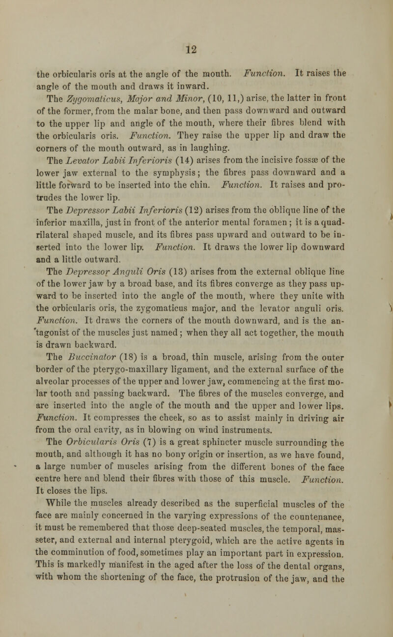 the orbicularis oris at the angle of the mouth. Function. It raises the angle of the mouth and draws it inward. The Zygomalicus, Major and Minor, (10, 11,) arise, the latter in front of the former, from the malar bone, and then pass downward and outward to the upper lip and angle of the mouth, where their fibres blend with the orbicularis oris. Function. They raise the upper lip and draw the corners of the mouth outward, as in laughing. The Levator Labii Inferioris (14) arises from the incisive fossae of the lower jaw external to the symphysis; the fibres pass downward and a little forward to be inserted into the chin. Function. It raises and pro- trudes the lower lip. The Depressor Labii Inferioris (12) arises from the oblique line of the inferior maxilla, just in front of the anterior mental foramen ; it is a quad- rilateral shaped muscle, and its fibres pass upward and outward to be in- serted into the lower lip. Function. It draws the lower lip downward and a little outward. The Depressor Anguli Oris (13) arises from the external oblique line of the lower jaw by a broad base, and its fibres converge as they pass up- ward to be inserted into the angle of the mouth, where they unite with the orbicularis oris, the zygomaticus major, and the levator anguli oris. Function. It draws the corners of the mouth downward, and is the an- tagonist of the muscles just named; when they all act together, the mouth is drawn backward. The Buccinator (18) is a broad, thin muscle, arising from the outer border of the pterygo-maxillary ligament, and the external surface of the alveolar processes of the upper and lower jaw, commencing at the first mo- lar tooth and passing backward. The fibres of the muscles converge, and are inserted into the angle of the mouth and the upper and lower lips. Function. It compresses the cheek, so as to assist mainly in driving air from the oral cavity, as in blowing on wind instruments. The Orbicularis Oris (7) is a great sphincter muscle surrounding the mouth, and although it has no bony origin or insertion, as we have found, a large number of muscles arising from the different bones of the face centre here and blend their fibres with those of this muscle. Function. It closes the lips. While the muscles already described as the superficial muscles of the face are mainly concerned in the varying expressions of the countenance, it must be remembered that those deep-seated muscles, the temporal, mas- seter, and external and internal pterygoid, which are the active agents in the comminution of food, sometimes play an important part in expression. This is markedly manifest in the aged after the loss of the dental organs, with whom the shortening of the face, the protrusion of the jaw, and the