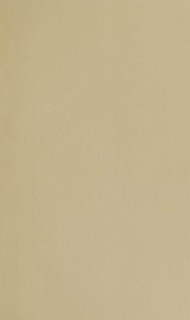 digitised image 3