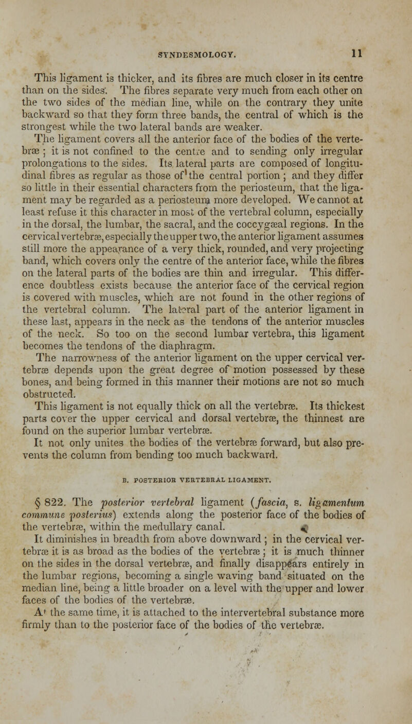 This ligament is thicker, and its fibres are much closer in its centre than on the sides'. The fibres separate very much from each other on the two sides of the median line, while on the contrary they unite backward so that they form three bands, the central of which is the strongest while the two lateral bands are weaker. The ligament covers all the anterior face of the bodies of the verte- brae ; it is not confined to the centre and to sending only irregular prolongations to the sides. Its lateral parts are composed of longitu- dinal fibres as regular as those of' the central portion ; and they differ so little in their essential characters from the periosteum, that the liga- ment may be regarded as a periosteum more developed. We cannot at least refuse it this character in most of the vertebral column, especially in the dorsal, the lumbar, the sacral, and the coccygeal regions. In the cervical vertebrae, especially the upper two, the anterior ligament assumes still more the appearance of a very thick, rounded, and very projecting band, which covers only the centre of the anterior face, while the fibres on the lateral parts of the bodies are thin and irregular. This differ- ence doubtless exists because the anterior face of the cervical region is covered with muscles, which are not found in the other regions of the vertebral column. The lateral part of the anterior ligament in these last, appears in the neck as the tendons of the anterior muscles of the neck. So too on the second lumbar vertebra, this ligament becomes the tendons of the diaphragm. The narrowness of the anterior ligament on the upper cervical ver- tebras depends upon the great degree of motion possessed by these bones, and being formed in this manner their motions are not so much obstructed. This ligament is not equally thick on all the vertebrae. Its thickest parts cover the upper cervical and dorsal vertebrae, the thinnest are found on the superior lumbar vertebrae. It not only unites the bodies of the vertebrae forward, but also pre- vents the column from bending too much backward. B. POSTERIOR VERTEBRAL LIGAMENT. § 822. The posterior vertebral ligament (fascia, s. ligamentum commune ^osterius) extends along the posterior face of the bodies of the vertebrae, within the medullary canal. ^ It diminishes in breadth from above downward ; in the cervical ver- tebra it is as broad as the bodies of the vertebrae ; it is much thinner on the sides in the dorsal vertebrae, and finally disappears entirely in the lumbar regions, becoming a single waving band situated on the median line, being a little broader on a level with the upper and lower faces of the bodies of the vertebrae. A' the same time, it is attached to the intervertebral substance more firmly than to the posterior face of the bodies of the vertebrae.
