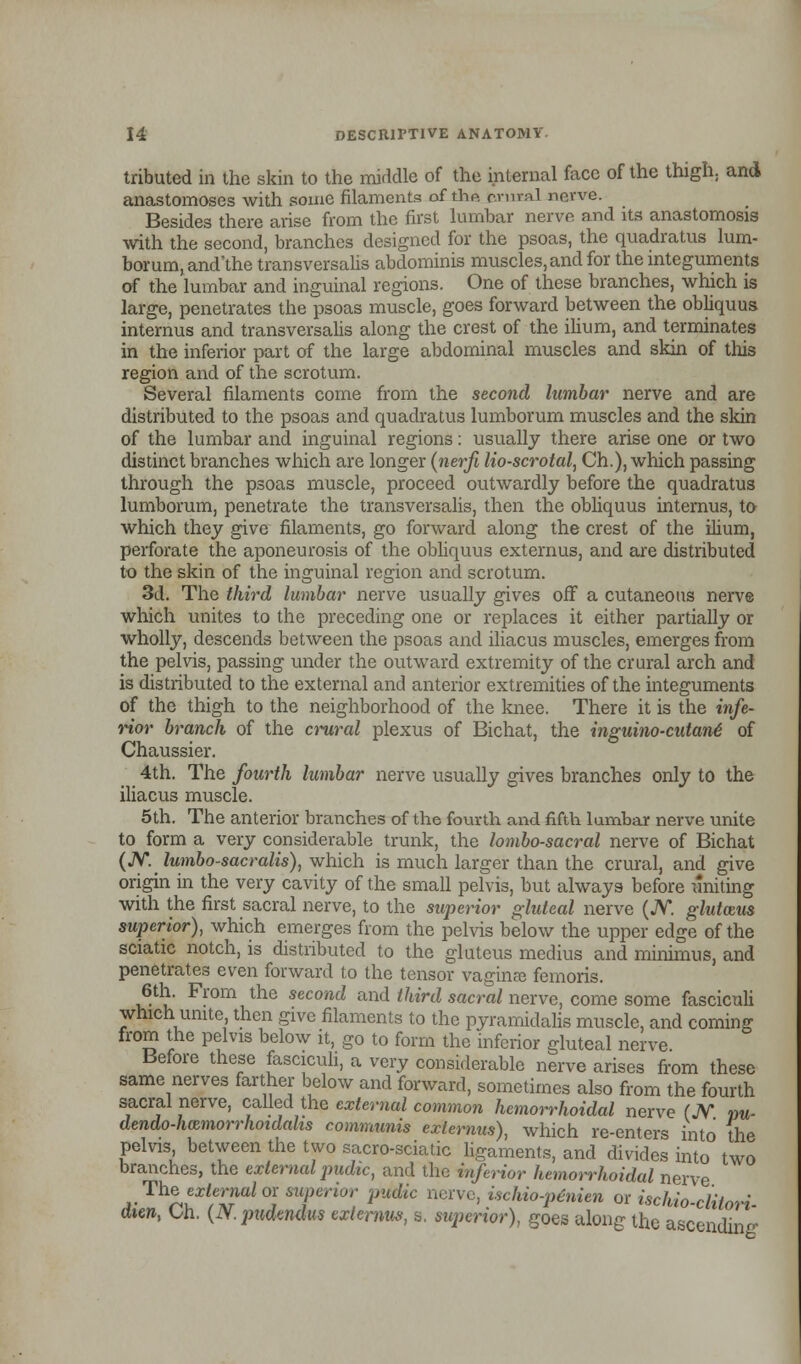 tributed in the skin to the middle of the internal face of the thigh, and anastomoses with some filaments nfthA brutal nerve. Besides there arise from the first lumbar nerve and its anastomosis with the second, branches designed for the psoas, the quadratus lum- borum, and'the transversalis abdominis muscles, and for the integuments of the lumbar and inguinal regions. One of these branches, which is large, penetrates the psoas muscle, goes forward between the obliquus internus and transversalis along the crest of the ilium, and terminates in the inferior part of the large abdominal muscles and skin of this region and of the scrotum. Several filaments come from the second lumbar nerve and are distributed to the psoas and quadratus lumborum muscles and the skin of the lumbar and inguinal regions: usually there arise one or two distinct branches which are longer (nerfi lio-scrotal, Ch.), which passing through the psoas muscle, proceed outwardly before the quadratus lumborum, penetrate the transversalis, then the obliquus internus, to which they give filaments, go forward along the crest of the ilium, perforate the aponeurosis of the obliquus externus, and are distributed to the skin of the inguinal region and scrotum. 3d. The third lumbar nerve usually gives off a cutaneous nerve which unites to the preceding one or replaces it either partially or wholly, descends between the psoas and iliacus muscles, emerges from the pelvis, passing under the outward extremity of the crural arch and is distributed to the external and anterior extremities of the integuments of the thigh to the neighborhood of the knee. There it is the infe- rior branch of the crural plexus of Bichat, the inguino-cutant of Chaussier. 4th. The fourth lumbar nerve usually gives branches only to the iliacus muscle. 5th. The anterior branches of the fourth and fifth lumbar nerve unite to form a very considerable trunk, the lombo-sacral nerve of Bichat (JV. lumbo-sacralis), which is much larger than the crural, and give origin in the very cavity of the small pelvis, but always before uniting with the first sacral nerve, to the superior gluteal nerve (JV. glutceus superior), which emerges from the pelvis below the upper edge of the sciatic notch, is distributed to the gluteus medius and minimus, and penetrates even forward to the tensor vaginae femoris. 6th. From the second and third sacral nerve, come some fasciculi which unite then give filaments to the pyramidalis muscle, and coming from the pelvis below it, go to form the inferior gluteal nerve Before these fasciculi, a very considerable nerve arises from these same nerves farther below and forward, sometimes also from the fourth sacral nerve, called the external common hemorrhoidal nerve (JV. ««- dendo-hczmorrhoidahs communis externus), which re-enters into the pelvis between the two sacro-sciatic ligaments, and divides into two branches, the external pudtc, and the inferior hemorrhoidal nerve The external or superior pudic nerve, ischio-p&rien or ischdo-clitori dim, Oh. (N.pudendus externus, s. superior), goes along the ascending