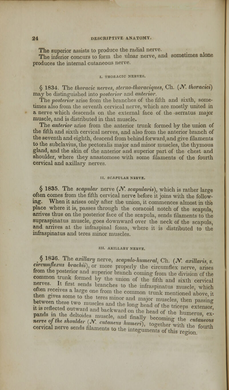 The superior assists to produce the radial nerve. The inferior concurs to form the ulnar nerve, and sometimes alone produces the internal cutaneous nerve. I. THORACIC NERVES. § 1834. The thoracic nerves, stcrno-thoraciques, Ch. (JV. thoracici) may be distinguished into posterior and anterior. The posterior arise from the branches of the fifth and sixth, some- times also from the seventh cervical nerve, which are mostly united in a nerve which descends on the external face of the serratus major muscle, and is distributed in that muscle. The anterior arise from the anterior trunk formed by the union of the fifth and sixth cervical nerves, and also from the anterior branch of the seventh and eighth, descend from behind forward,and give filaments to the subclavius, the pectoraiis major and minor muscles, the thymous gland, and the skin of the anterior and superior part of the chest and shoulder, where they anastomose with some filaments of the fourth cervical and axillary nerves. II. SCAPULAR NSBVE. § 1835. The scapular nerve (N. scapularis), which is rather large often comes from the fifth cervical nerve before it joins with the follow- ing. When it arises only after the union, it commences almost in the place where it is, passes through the coracoid notch of the scapula, arrives thus on the posterior face of the scapula, sends filaments to the supraspinatus muscle, goes downward over the neck of the scapula, and arrives at the infraspinal fossa, where it is distributed to the infraspinatus and teres minor muscles. III. AXILLARY NERVE. _ § 1836. The axillary nerve, scapulo-humeral, Ch. (JV. axillaris, s. circumflexus brachii), or more properly the circumflex nerve, arises from the posterior and superior branch coming from the division of the n^°n tUf/°rrae,d ?y the Uni0n of the fifth a»d ^xth cervical often rerP If' 1 brf ch<* to the infraspinatus muscle, which then ZZ me ST* ^ ^ T°n tmnk mentl0ned *bove> & men gives some to the teres minor and major muscles then na^inp- cervical nerve send, filaments to the in.egLems if thlreAon