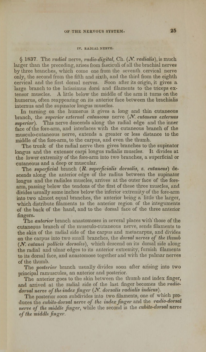 IV. RADIAL NERVE. § 1837. The radial nerve, radio-digital, Ch. (JV. radialis), is much larger than the preceding, arises from fasciculi of all the brachial nerves by three branches, which come one from the seventh cervical nerve only, the second from the fifth and sixth, and the third from the eighth cervical and the first, dorsal nerves. Soon after its origin, it gives a large branch to the latissimus dorsi and filaments to the triceps ex- tensor muscles. A little below the middle of the arm it turns on the humerus, often reappearing on its anterior face between the brachialis internus and the supinator longus muscles. In turning on the humerus it gives a long and thin cutaneous branch, the superior external cutaneous nerve (JV. cutaneus externus superior). This nerve descends along the radial edge and the inner face of the fore-arm, and interlaces with the cutaneous branch of the musculo-cutaneous nerve, extends a greater or less distance to the middle of the fore-arm, to the carpus, and even the thumb. The trunk of the radial nerve then gives branches to the supinator longus and the extensor carpi longus radialis muscles. It divides at the lower extremity of the fore-arm into two branches, a superficial or cutaneous and a deep or muscular. The superficial branch (R. superficialis dorsalis, s. cutaneus) de- scends along the anterior edge of the radius between the supinator longus and the radiales muscles, arrives at the outer face of the fore- arm, passing below the tendons of the first of these three muscles, and divides usually some inches below the inferior extremity of the fore-arm into two almost equal branches, the anterior being a little the larger, which distribute filaments to the anterior region of the integuments of the back of the hand, and to the dorsal face of the three anterior fingers. The anterior branch anastomoses in several places with'those of the cutaneous branch of the musculo-cutaneous nerve, sends filaments to the skin of the radial side of the carpus and metacarpus, and divides on the carpus into two small branches, the dorsal nerves of the thumb (JV. cutanei pollicis dorsales), which descend on its dorsal side along the radial and ulnar edges to its anterior extremity, furnish filaments to its dorsal face, and anastomose together and with the palmar nerves of the thumb. The posterior branch usually divides soon after arising into two principal ramuscules, an anterior and posterior. The anterior goes to the skin between the thumb and index finger, and arrived at the radial side of the last finger becomes the radio- dorsal nerve of the index finger (JV. dorsalis radialis indicus). The posterior soon subdivides into two filaments, one of which pro- duces the cubito-dorsal nerve of the index finger and the radio-dorsal nerve of the middle finger, while the second is the cubito-dorsal nerve of the middle finger.