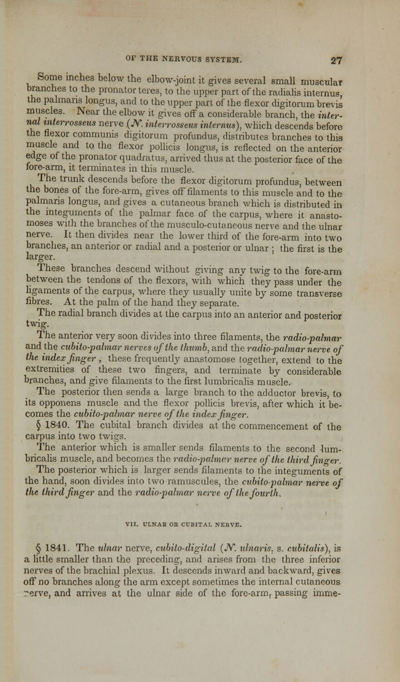 Some inches below the elbow-joint it gives several small muscular branches to the pronator teres, to the upper part of the radialis interims, the palmans longus, and to the upper part of the flexor digitorum brevis muscles. Near the elbow it gives off a considerable branch, the inter- nal tnterrosseus nerve (JV. interrosseus internus), which descends before the flexor communis digitorum profundus, distributes branches to this muscle and to the flexor pollicis longus, is reflected on the anterior edge of the pronator quadratus, arrived thus at the posterior face of the fore-arm, it terminates in this muscle. The trunk descends before the flexor digitorum profundus, between the bones of the fore-arm, gives off filaments to this muscle and to the palmaris longus, and gives a cutaneous branch which is distributed in the integuments of the palmar face of the carpus, where it anasto- moses with the branches of the musculo-cutaneous nerve and the ulnar nerve. It then divides near the lower third of the fore-arm into two branches, an anterior or radial and a posterior or ulnar ; the first is the larger. These branches descend without giving any twig to the fore-arm between the tendons of the flexors, with which they pass under the ligaments of the carpus, where they usually unite by some transverse fibres. At the palm of the hand they separate. The radial branch divides at the carpus into an anterior and posterior twig. The anterior very soon divides into three filaments, the radio-palmar and the cubito-pahnar nerves of the thumb, and the radio-palmar nerve of the index finger , these frequently anastomose together, extend to the extremities of these two fingers, and terminate by considerable branches, and give filaments to the first lumbricalis muscle. The posterior then sends a large branch to the adductor brevis, to its opponens muscle and the flexor pollicis brevis, after which it be- comes the cubito-pahnar nerve of the index finger. § 1840. The cubital branch divides at the commencement of the carpus into two twigs. The anterior which is smaller sends filaments to the second lum- bricalis muscle, and becomes the radio-palmar nerve of the third finger. The posterior which is larger sends filaments to the integuments of the hand, soon divides into two ramuscules, the cubito-pahnar nerve of the third finger and the radio-palmar nerve of the fourth. VII. ULNAR OH CUBITAL NERVE. § 1841. The ulnar nerve, cubito-digital (JV*. ulnaris. s. cubilalis), is a little smaller than the preceding, and arises from the three inferior nerves of the brachial plexus. It descends inward and backward, gives off no branches along the arm except sometimes the internal cutaneous rerve, and arrives at the ulnar side of the fore-arm, passing imme-