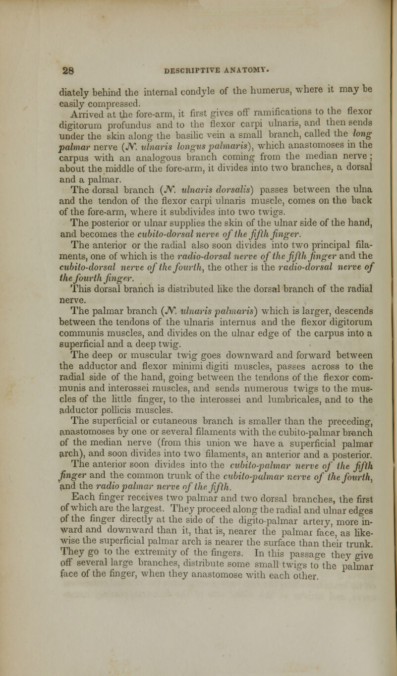 diately behind the internal condyle of the humerus, where it may be easily compressed. Arrived at the fore-arm, it first gives off ramifications to the flexor digitorum profundus and to the flexor carpi ulnaris, and then sends under the skin along the basilic vein a small branch, called the long palmar nerve (JV*. ulnaris longus palmaris), which anastomoses in the carpus with an analogous branch coming from the median nerve ; about the middle of the fore-arm, it divides into two branches, a dorsal and a palmar. The dorsal branch (JV*. ulnaris dorsalis) passes between the ulna and the tendon of the flexor carpi ulnaris muscle, comes on the back of the fore-arm, where it subdivides into two twigs. The posterior or ulnar supplies the skin of the ulnar side of the hand, and becomes the cubito-dorsal nerve, of the fifth finger. The anterior or the radial also soon divides into two principal fila- ments, one of which is the radio-dorsal nerve of the fifth finger and the cubito-dorsal nerve of the fourth, the other is the radio-dorsal nerve of the fourth finger. This dorsal branch is distributed like the dorsal branch of the radial nerve. The palmar branch (JV*. ulnaris palmaris) which is larger, descends between the tendons of the ulnaris internus and the flexor digitorum communis muscles, and divides on the ulnar edge of the carpus into a superficial and a deep twig. The deep or muscular twig goes downward and forward between the adductor and flexor minimi digiti muscles, passes across to the radial side of the hand, going between the tendons of the flexor com- munis and interossei muscles, and sends numerous twigs to the mus- cles of the little finger, to the interossei and lumbricales, and to the adductor pollicis muscles. The superficial or cutaneous branch is smaller than the preceding, anastomoses by one or several filaments with the cubito-palmar branch of the median nerve (from this union we have a superficial palmar arch), and soon divides into two filaments, an anterior and a posterior. The anterior soon divides into the cubito-palmar nerve of the fifth finger and the common trunk of the cubito-palmar nerve of the fourth, and the radio palmar nerve of the fifth. Each finger receives two palmar and two dorsal branches, the first of which are the largest. They proceed along the radial and ulnar edges of the finger directly at the side of the digito-palmar artery, more in- ward and downward than it, that is, nearer the palmar face, as like- wise the superficial palmar arch is nearer the surface than their trunk. They go to the extremity of the fingers. In this passage they give off several large branches, distribute some small twigs to the palmar face of the finger, when they anastomose with each other.