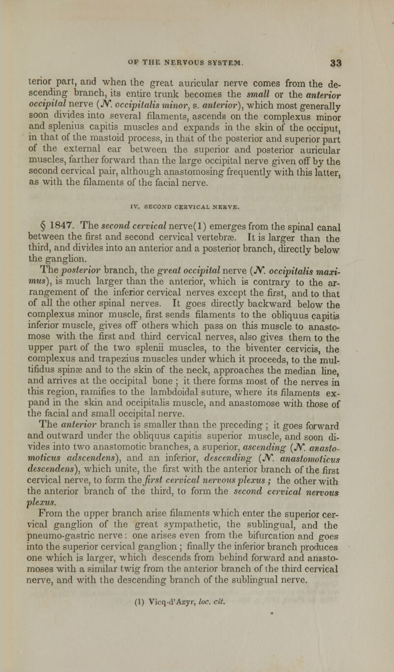terior part, and when the great auricular nerve comes from the de- scending branch, its entire trunk becomes the small or the anterior occipital nerve (JV occipitalis minor, s. anterior), which most generally soon divides into several filaments, ascends on the complexus minor and splenius capitis muscles and expands in the skin of the occiput, in that of the mastoid process, in that of the posterior and superior part of the external ear between the superior and posterior auricular muscles, farther forward than the large occipital nerve given off by the second cervical pair, although anastomosing frequently with this latter, as with the filaments of the facial nerve. IV. SECOND CERVICAL NERVE. § 1847. The second cervical nerve(l) emerges from the spinal canal between the first and second cervical vertebrae. It is larger than the third, and divides into an anterior and a posterior branch, directly below the ganglion. The posterior branch, the great occipital nerve (JV*. occipitalis maxi- mus), is much larger than the anterior, which is contrary to the ar- rangement of the inferior cervical nerves except the first, and to that of all the other spinal nerves. It goes directly backward below the complexus minor muscle, first sends filaments to the obliquus capitis inferior muscle, gives off others which pass on this muscle to anasto- mose with the first and third cervical nerves, also gives them to the upper part of the two splenii muscles, to the biventer cervicis, the complexus and trapezius muscles under which it proceeds, to the mul- tifidus spinae and to the skin of the neck, approaches the median line, and arrives at the occipital bone ; it there forms most of the nerves in this region, ramifies to the lambdoidal suture, where its filaments ex- pand in the skin and occipitalis muscle, and anastomose with those of the facial and small occipital nerve. The anterior branch is smaller than the preceding ; it goes forward and outward under the obliquus capitis superior muscle, and soon di- vides into two anastomotic branches, a superior, ascending (JV. anaslo- moticus adscendens), and an inferior, descending (JV. anastomolicus descendens), which unite, the first with the anterior branch of the first cervical nerve, to form the first cervical nervous plexus ; the other with the anterior branch of the third, to form the second cervical nervous plexus. From the upper branch arise filaments which enter the superior cer- vical ganglion of the great sympathetic, the sublingual, and the pneumo-gastric nerve : one arises even from the bifurcation and goes into the superior cervical ganglion ; finally the inferior branch produces one which is larger, which descends from behind forward and anasto- moses with a similar twig from the anterior branch of the third cervical nerve, and with the descending branch of the sublingual nerve. (1) Vicq-d'Azyr, loc. cit.