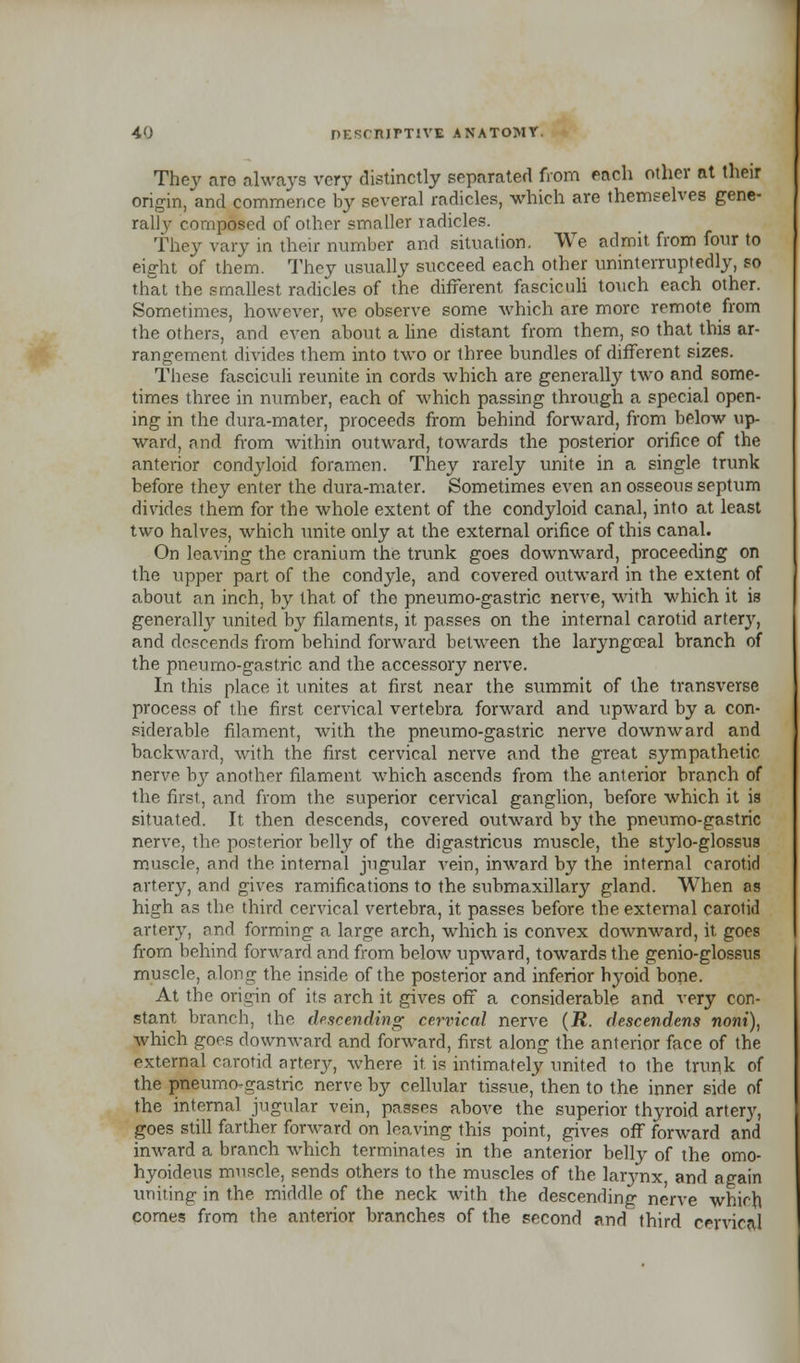 Thev are always very distinctly separated from each other at their origin, and commence by several radicles, which are themselves gene- rally composed of other smaller radicles. They vary in their number and situation. We admit from four to eight of them. They usually succeed each other uninterruptedly, so that the smallest radicles of the different fasciculi touch each other. Sometimes, however, we observe some which are more remote from the others, and even about a line distant from them, so that this ar- rangement, divides them into two or three bundles of different sizes. These fasciculi reunite in cords which are generally two and some- times three in number, each of which passing through a special open- ing in the dura-mater, proceeds from behind forward, from below up- ward, and from within outward, towards the posterior orifice of the anterior condyloid foramen. They rarely unite in a single trunk before they enter the dura-mater. Sometimes even an osseous septum divides them for the whole extent of the condyloid canal, into at least two halves, which unite only at the external orifice of this canal. On leaving the cranium the trunk goes downward, proceeding on the upper part of the condyle, and covered outward in the extent of about an inch, by that of the pneumo-gastric nerve, with which it is generally united by filaments, it passes on the internal carotid artery, and descends from behind forward between the laryngceal branch of the pneumo-gastric and the accessory nerve. In this place it unites at first near the summit of the transverse process of the first cervical vertebra forward and upward by a con- siderable filament, with the pneumo-gastric nerve downward and backward, with the first cervical nerve and the great sympathetic nerve bj' another filament which ascends from the anterior branch of the first, and from the superior cervical ganglion, before which it is situated. It then descends, covered outward by the pneumo-gastric nerve, the posterior belly of the digastricus muscle, the stylo-glossus muscle, and the internal jugular vein, inward by the internal carotid artery, and gives ramifications to the submaxillary gland. When as high as the third cervical vertebra, it passes before the external carotid artery, and forming a large arch, which is convex downward, it. goes from behind forward and from below upward, towards the genio-glossus muscle, along the inside of the posterior and inferior hyoid bone. At the origin of its arch it gives off a considerable and very con- stant branch, the descending cervical nerve (R. descendens noni), which goes downward and forward, first along the anterior face of the external carotid artery, where it is intimately united to the trunk of the pneumo-gastric nerve by cellular tissue, then to the inner side of the internal jugular vein, passes above the superior thyroid artery, goes still farther forward on leaving this point, gives off forward and inward a branch which terminates in the anterior belly of the omo- hyoideus muscle, sends others to the muscles of the larynx, and again uniting in the middle of the neck with the descending nerve which comes from the anterior branches of the second and third cervical