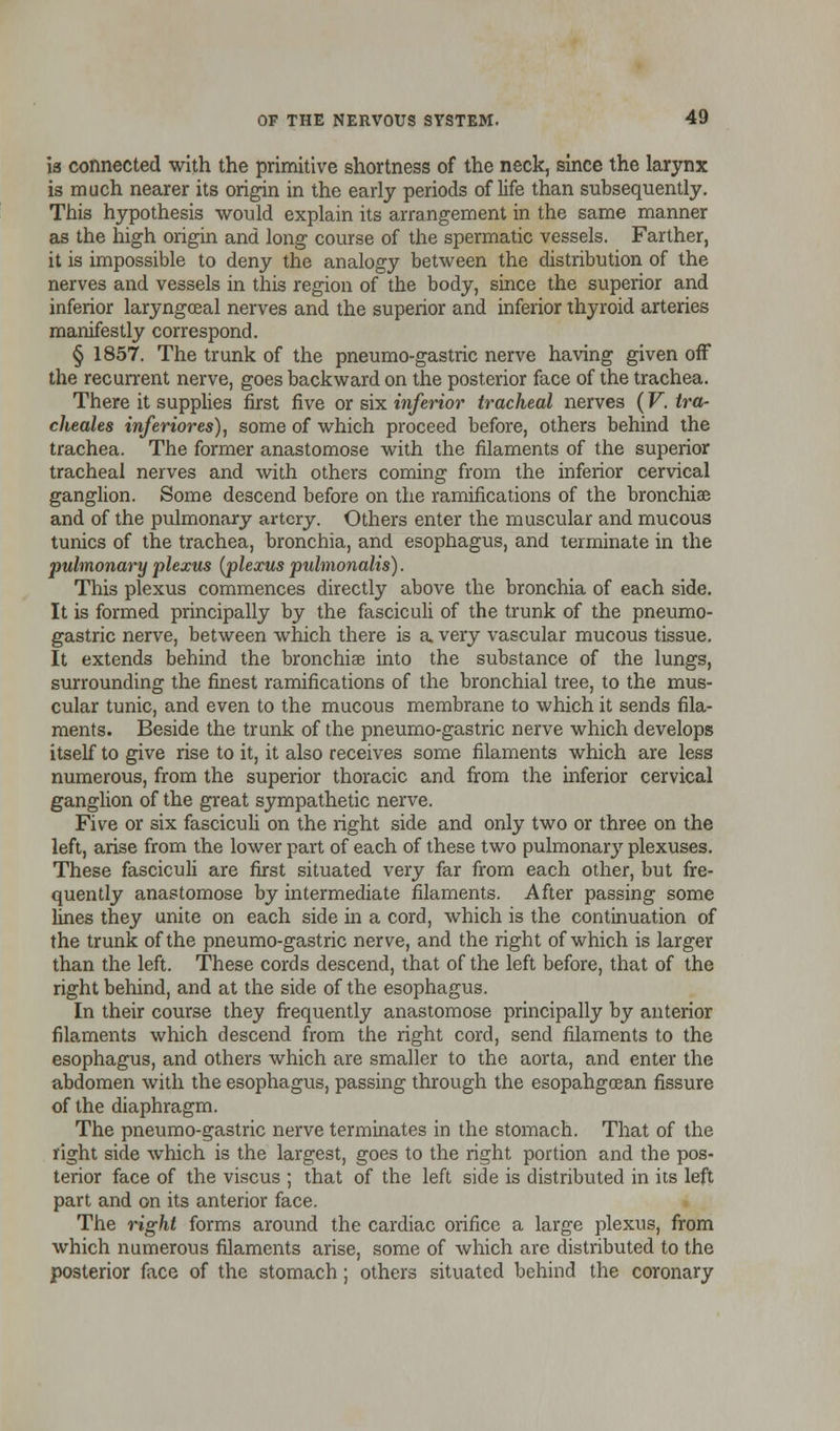 is connected with the primitive shortness of the neck, since the larynx is much nearer its origin in the early periods of life than subsequently. This hypothesis would explain its arrangement in the same manner as the high origin and long course of the spermatic vessels. Farther, it is impossible to deny the analogy between the distribution of the nerves and vessels in this region of the body, since the superior and inferior laryngoeal nerves and the superior and inferior thyroid arteries manifestly correspond. § 1857. The trunk of the pneumo-gastric nerve having given off the recurrent nerve, goes backward on the posterior face of the trachea. There it supplies first five or six inferior tracheal nerves (V.tra- cheales inferiores), some of which proceed before, others behind the trachea. The former anastomose with the filaments of the superior tracheal nerves and with others coming from the inferior cervical ganglion. Some descend before on the ramifications of the bronchia? and of the pulmonary artery. Others enter the muscular and mucous tunics of the trachea, bronchia, and esophagus, and terminate in the pulmonary plexus (plexus pulmonalis). This plexus commences directly above the bronchia of each side. It is formed principally by the fasciculi of the trunk of the pneumo- gastric nerve, between which there is a very vascular mucous tissue. It extends behind the bronchia? into the substance of the lungs, surrounding the finest ramifications of the bronchial tree, to the mus- cular tunic, and even to the mucous membrane to which it sends fila- ments. Beside the trunk of the pneumo-gastric nerve which develops itself to give rise to it, it also receives some filaments which are less numerous, from the superior thoracic and from the inferior cervical ganglion of the great sympathetic nerve. Five or six fasciculi on the right side and only two or three on the left, arise from the lower part of each of these two pulmonary plexuses. These fasciculi are first situated very far from each other, but fre- quently anastomose by intermediate filaments. After passing some lines they unite on each side in a cord, which is the continuation of the trunk of the pneumo-gastric nerve, and the right of which is larger than the left. These cords descend, that of the left before, that of the right behind, and at the side of the esophagus. In their course they frequently anastomose principally by anterior filaments which descend from the right cord, send filaments to the esophagus, and others which are smaller to the aorta, and enter the abdomen with the esophagus, passing through the esopahgeean fissure of the diaphragm. The pneumo-gastric nerve terminates in the stomach. That of the right side which is the largest, goes to the right portion and the pos- terior face of the viscus ; that of the left side is distributed in its left part and on its anterior face. The right forms around the cardiac orifice a large plexus, from which numerous filaments arise, some of which are distributed to the posterior face of the stomach; others situated behind the coronary