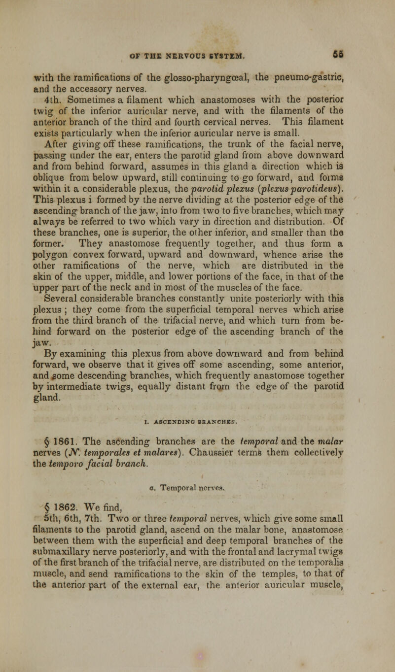with the ramifications of the glosso-pharyngceal, the pneumo-gastric, and the accessory nerves. 4th. Sometimes a filament which anastomoses with the posterior twig of the inferior auricular nerve, and with the filaments of the anterior branch of the third and fourth cervical nerves. This filament exists particularly when the inferior auricular nerve is small. After giving off these ramifications, the trunk of the facial nerve, passing under the ear, enters the parotid gland from above downward and from behind forward, assumes in this gland a direction which is oblique from below upward, still continuing to go forward, and forms within it a considerable plexus, the parotid plexus (plexusparotidevs). This plexus i formed by the nerve dividing at the posterior edge of the ascending branch of the jaw, into from two to five branches, which may always be referred to two which vary in direction and distribution. Of these branches, one is superior, the other inferior, and smaller than the former. They anastomose frequently together, and thus form a polygon convex forward, upward and downward, whence arise the other ramifications of the nerve, which are distributed in the skin of the upper, middle, and lower portions of the face, in that of the upper part of the neck and in most of the muscles of the face. Several considerable branches constantly unite posteriorly with this plexus ; they come from the superficial temporal nerves which arise from the third branch of the trifacial nerve, and which turn from be- hind forward on the posterior edge of the ascending branch of the jaw. By examining this plexus from above downward and from behind forward, we observe that it gives off some ascending, some anterior, and gome descending branches, which frequently anastomose together by intermediate twigs, equally distant from the edge of the parotid gland. I. ASCENDING BRANCHES. § 1861. The ascending branches are the temporal and the malar nerves (JV. temporales et malares). Chaussier terms them collectively the temporo facial branch. a. Temporal ncrvca. § 1862. We find, 5th, 6th, 7th. Two or three temporal nerves, which give some small filaments to the parotid gland, ascend on the malar bone, anastomose between them with the superficial and deep temporal branches of the submaxillary nerve posteriorly, and with the frontal and lacrymal twigs of the first branch of the trifacial nerve, are distributed on the temporalis muscle, and send ramifications to the skin of the temples, to that of the anterior part of the external ear, the anterior auricular muscle,