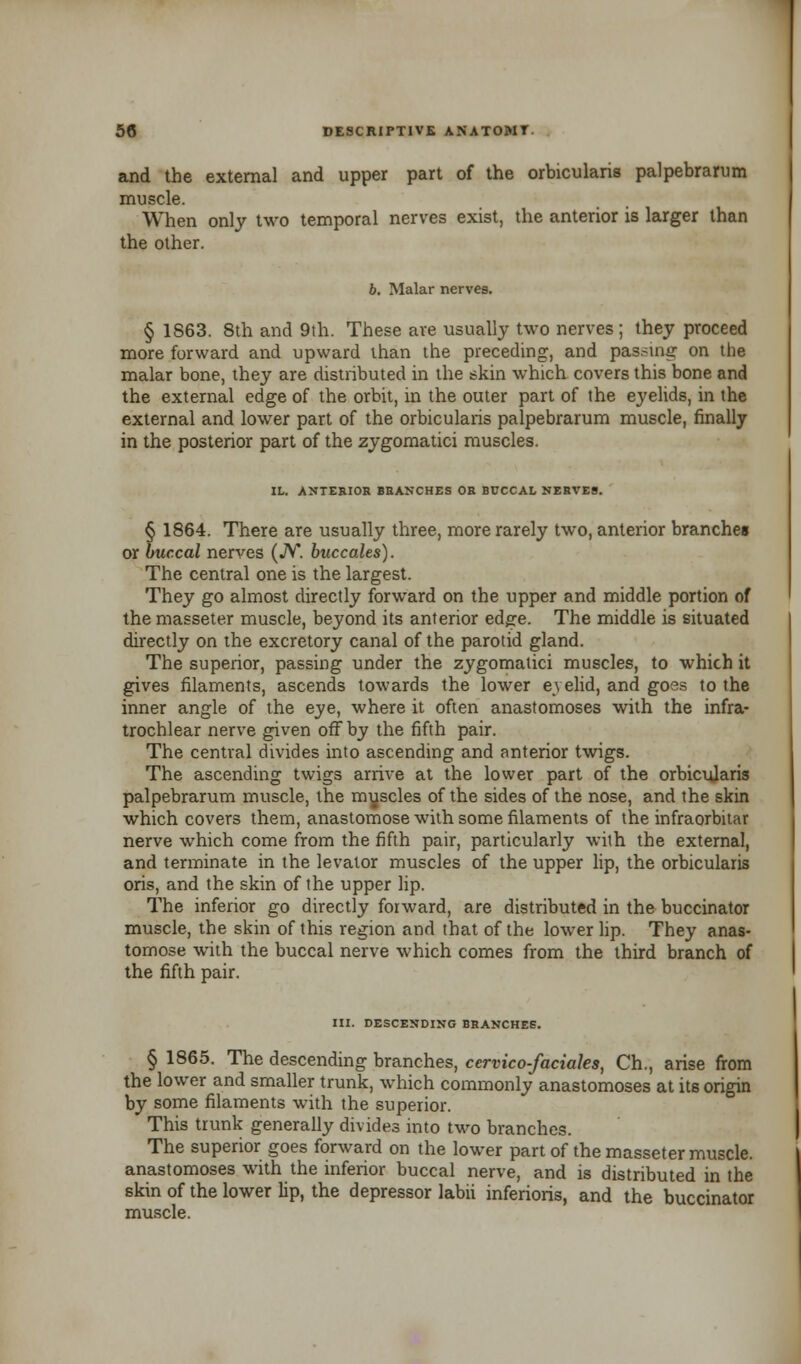 and the external and upper part of the orbicularis palpebrarum muscle. When only two temporal nerves exist, the anterior is larger than the other. b. Malar nerves. § 1863. 8th and 9th. These ave usually two nerves; they proceed more forward and upward than the preceding, and passing on the malar bone, they are distributed in the skin which covers this bone and the external edge of the orbit, in the outer part of the eyelids, in the external and lower part of the orbicularis palpebrarum muscle, finally in the posterior part of the zygomatici muscles. IL. ANTERIOR BRANCHES OR BUCCAL NERVES. § 1864. There are usually three, more rarely two, anterior branches or buccal nerves (JV. buccales). The central one is the largest. They go almost directly forward on the upper and middle portion of the masseter muscle, beyond its anterior edge. The middle is situated directly on the excretory canal of the parotid gland. The superior, passing under the zygomatici muscles, to which it gives filaments, ascends towards the lower eyelid, and goes to the inner angle of the eye, where it often anastomoses with the infra- trochlear nerve given off by the fifth pair. The central divides into ascending and anterior twigs. The ascending twigs arrive at the lower part of the orbicularis palpebrarum muscle, the myscles of the sides of the nose, and the skin which covers them, anastomose with some filaments of the infraorbitar nerve which come from the fifth pair, particularly with the external, and terminate in the levator muscles of the upper lip, the orbicularis oris, and the skin of the upper lip. The inferior go directly forward, are distributed in the buccinator muscle, the skin of this region and that of the lower lip. They anas- tomose with the buccal nerve which comes from the third branch of the fifth pair. III. DESCENDING BRANCHES. § 1865. The descending branches, ccrvico-faciales, Ch., arise from the lower and smaller trunk, which commonly anastomoses at its origin by some filaments with the superior. This trunk generally divides into two branches. The superior goes forward on the lower part of the masseter muscle, anastomoses with the inferior buccal nerve, and is distributed in the skin of the lower lip, the depressor labii inferioris, and the buccinator muscle.