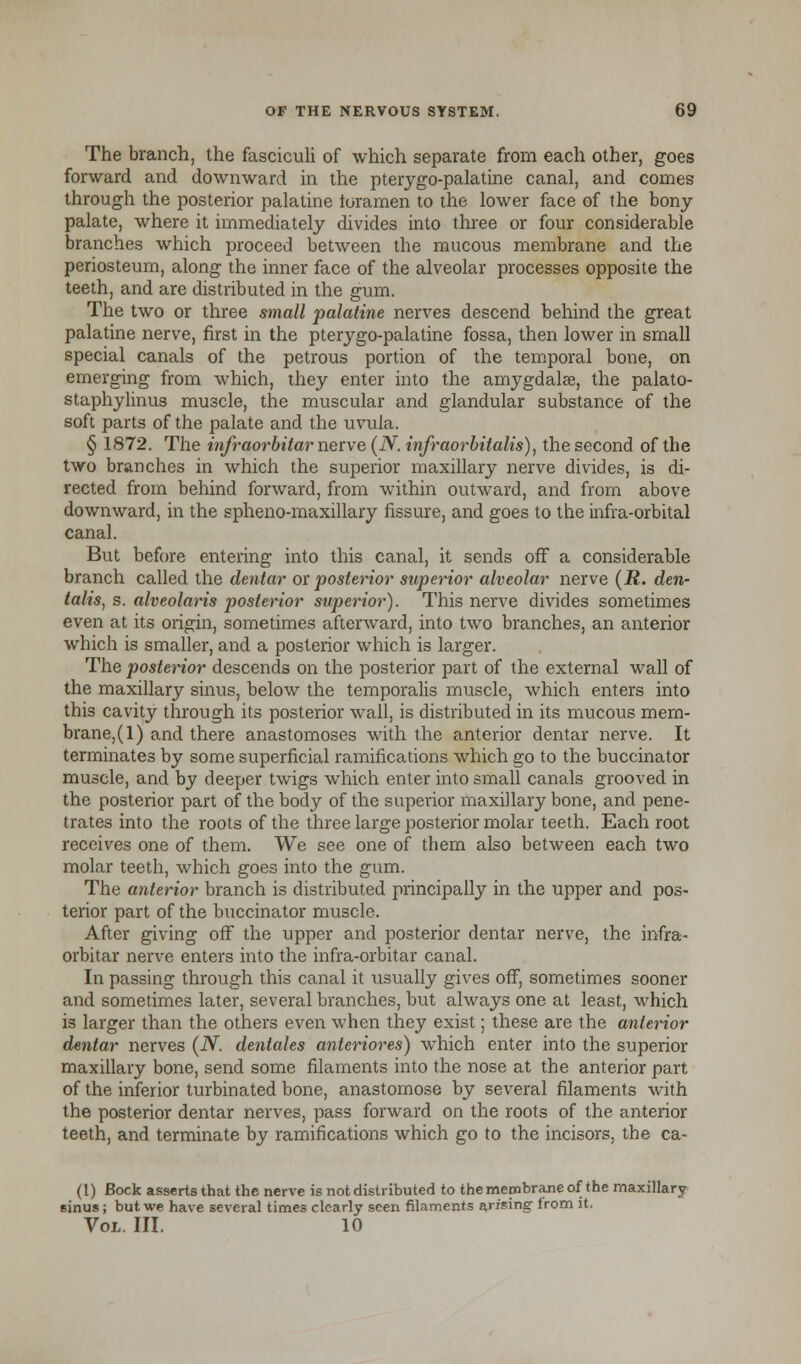 The branch, the fasciculi of which separate from each other, goes forward and downward in the pterygopalatine canal, and comes through the posterior palatine loramen to the lower face of the bony palate, where it immediately divides into three or four considerable branches which proceed between the mucous membrane and the periosteum, along the inner face of the alveolar processes opposite the teeth, and are distributed in the gum. The two or three small palatine nerves descend behind the great palatine nerve, first in the pterygopalatine fossa, then lower in small special canals of the petrous portion of the temporal bone, on emerging from which, they enter into the amygdalae, the palato- staphylinus muscle, the muscular and glandular substance of the soft parts of the palate and the uvula. § 1872. The infraorbitamerve (N. infraorbitalis), the second of the two branches in which the superior maxillary nerve divides, is di- rected from behind forward, from within outward, and from above downward, in the spheno-maxillary fissure, and goes to the infra-orbital canal. But before entering into this canal, it sends off a considerable branch called the dentar or posterior superior alveolar nerve (R. den- talis, s. alveolaris posterior superior). This nerve divides sometimes even at its origin, sometimes afterward, into two branches, an anterior which is smaller, and a posterior which is larger. The posterior descends on the posterior part of the external wall of the maxillary sinus, below the temporalis muscle, which enters into this cavity through its posterior wall, is distributed in its mucous mem- brane,(l) and there anastomoses with the anterior dentar nerve. It terminates by some superficial ramifications which go to the buccinator muscle, and by deeper twigs which enter into small canals grooved in the posterior part of the body of the superior maxillary bone, and pene- trates into the roots of the three large posterior molar teeth. Each root receives one of them. We see one of them also between each two molar teeth, which goes into the gum. The anterior branch is distributed principally in the upper and pos- terior part of the buccinator muscle. After giving off the upper and posterior dentar nerve, the infra- orbitar nerve enters into the infra-orbitar canal. In passing through this canal it usually gives off, sometimes sooner and sometimes later, several branches, but always one at least, which is larger than the others even when they exist; these are the anterior dentar nerves (N. dentales anteriores) which enter into the superior maxillary bone, send some filaments into the nose at the anterior part of the inferior turbinated bone, anastomose by several filaments with the posterior dentar nerves, pass forward on the roots of the anterior teeth, and terminate by ramifications which go to the incisors, the ca- (1) Bock asserts that the nerve is not distributed to the membrane of the maxillary Binus ; but we have several times clearly seen filaments arising from it. Vol. III. 10