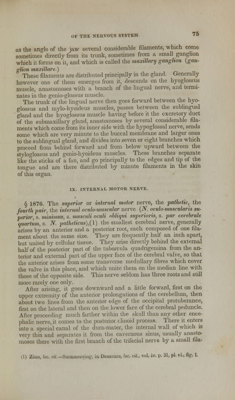 as the angle of the jaw several considerable filaments, which come sometimes directly from its trunk, sometimes from a small ganglion which it forms on it, and which is called the maxillary ganglion (gan- glion maxillare.) These filaments are distributed principally in the gland. Generally however one of them emerges from it, descends on the hyoglossus muscle, anastomoses with a branch of the lingual nerve, and termi- nates in the genio-glossus muscle. The trunk of the lingual nerve then goes forward between the hyo- glossus and mylo-hyoideus muscles, passes between the sublingual ' gland and the hyoglossus muscle having before it the excretory duct of the submaxillary gland, anastomoses by several considerable fila- ments which come from its inner side with the hypoglossal nerve, sends some which are very minute to the buccal membrane and larger ones to the sublingual gland, and divides into seven or eight branches which proceed from behind forward and from below upward between the styloglossus and genio-hyoideus muscles. These branches separate like the sticks of a fan, and go principally to the edges and tip of the tongue and are there distributed by minute filaments in the skin of this organ. IX. INTERNAL MOTOR NERVE. § 1876. The superior or internal motor nerve, the pathetic, the fourth pair, the internal oculo-muscular nerve (N. oculo-muscularis su- perior, s. minimus, s. musculi oculi obliqui superioris, s. par cerebrate quartum, s. N. patheticus),(l) the smallest cerebral nerve, generally arises by an anterior and a posterior root, each composed of one fila- ment about the same size. They are frequently half an inch apart, but united by cellular tissue. They arise directly behind the external half of the posterior part of the tubercula quadrigemina from the an- terior and external part of the upper face of the cerebral valve, so that the anterior arises from some transverse medullary fibres which cover the valve in this place, and which unite them on the median line with those of the opposite side. This nerve seldom has three roots and still more rarely one only. After arising, it goes downward and a little forward, first on the upper extremity of the anterior prolongations of the cerebellum, then about two lines from the anterior edge of the occipital protuberance, first on the lateral and then on the lower face of the cerebral peduncle. After proceeding much farther within the skull than any other ence- phalic nerve, it comes to the posterior clinoid process. There it enters into a special canal of the dura-mater, the internal wall of which is very thin and separates it from the cavernous sinus, usually anasto- moses there with the first branch of the trifacial nerve by a small fila-