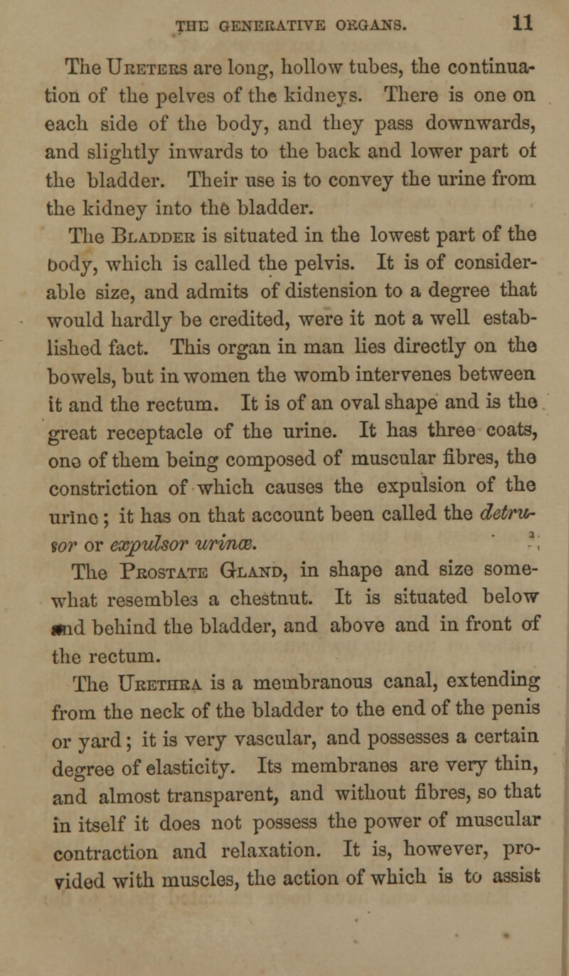 The Ureters are long, hollow tubes, the continua- tion of the pelves of the kidneys. There is one on each side of the body, and they pass downwards, and slightly inwards to the back and lower part of the bladder. Their use is to convey the urine from the kidney into the bladder. The Bladder is situated in the lowest part of the body, which is called the pelvis. It is of consider- able size, and admits of distension to a degree that would hardly be credited, were it not a well estab- lished fact. This organ in man lies directly on the bowels, but in women the womb intervenes between it and the rectum. It is of an oval shape and is the great receptacle of the urine. It has three coats, one of them being composed of muscular fibres, the constriction of which causes the expulsion of the urine; it has on that account been called the detru- sor or expulsor urinoe. i The Prostate Gland, in shape and size some- what resembles a chestnut. It is situated below and behind the bladder, and above and in front of the rectum. The Urethra is a membranous canal, extending from the neck of the bladder to the end of the penis or yard; it is very vascular, and possesses a certain degree of elasticity. Its membranes are very thin, and almost transparent, and without fibres, so that in itself it does not possess the power of muscular contraction and relaxation. It is, however, pro- vided with muscles, the action of which is to assist