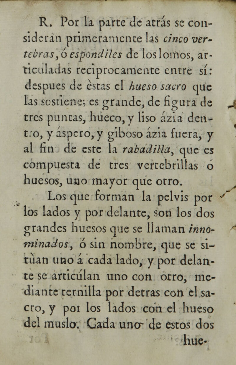 R. Por la parte de atrás se con- sideran primeramente las cinco ver- tebras ,6 espóndiles de los lomos, ar- ticuladas reciprocamente entre sí: después de éstas el hueso sacro que las sostiene, es grande, de figura de tres puntas, hueco, y liso ázia den- tro, y áspero, y giboso ázia fuera, y al fin de este la rabadilla, que es compuesta de tres vertebrillas ó huesos, uno mayor que otro. Los que forman la pelvis por los lados y por delante, son los dos grandes huesos que se llaman inno- minados, ó sin nombre, que se si- túan uno a cada lado, y por delan- te se articulan uno con otro, me- diante ternilla por detras con el sa- cro, y poi los lados con el hueso del muslo. Cada uno- de estos dos hue-