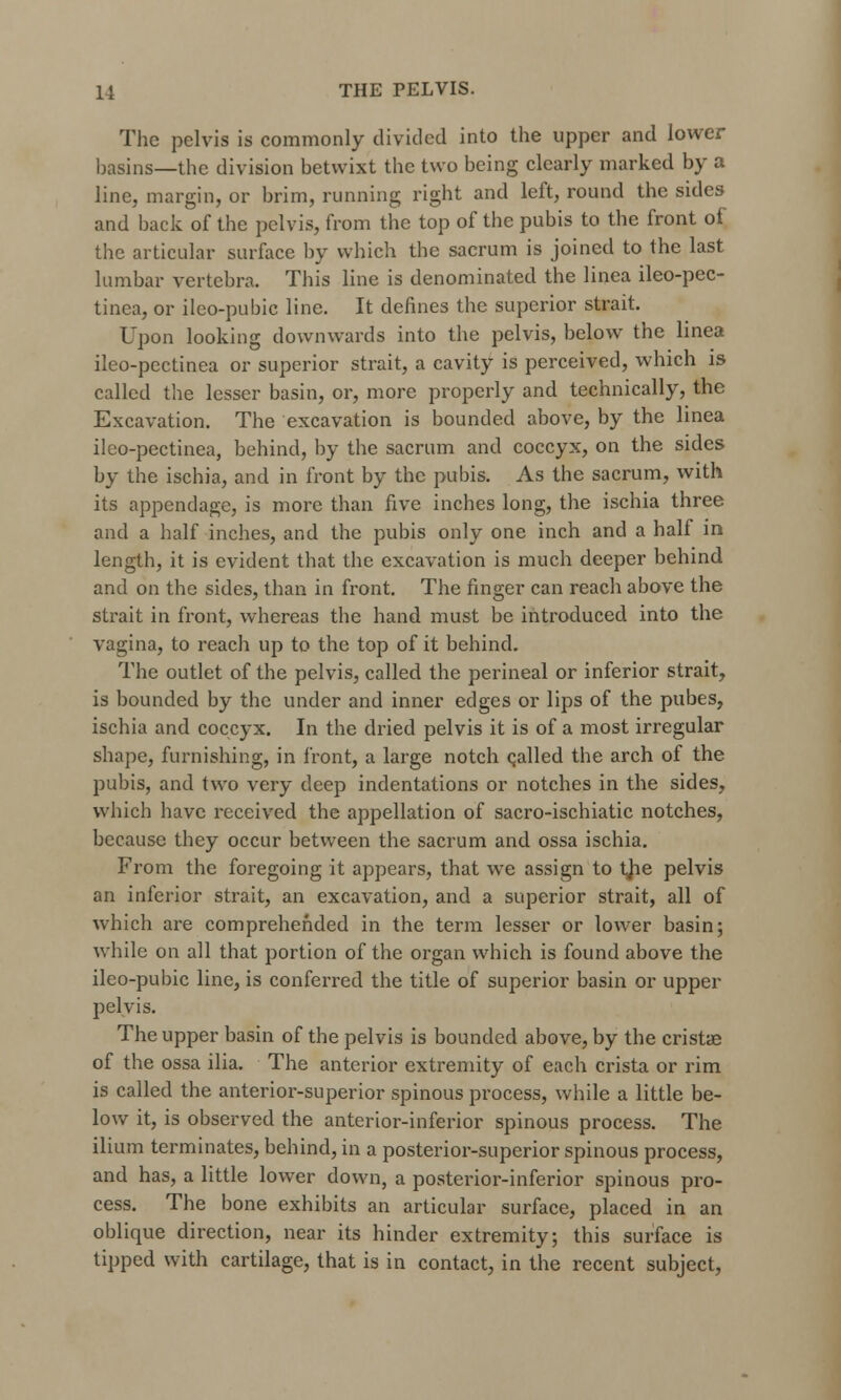 The pelvis is commonly divided into the upper and lower basins—the division betwixt the two being clearly marked by a line, margin, or brim, running right and left, round the sides and back of the pelvis, from the top of the pubis to the front of the articular surface by which the sacrum is joined to the last lumbar vertebra. This line is denominated the linea ileo-pec- tinea, or ileo-pubic line. It defines the superior strait. Upon looking downwards into the pelvis, below the linea ileo-pectinea or superior strait, a cavity is perceived, which is called the lesser basin, or, more properly and technically, the Excavation. The excavation is bounded above, by the linea ileo-pectinea, behind, by the sacrum and coccyx, on the sides by the ischia, and in front by the pubis. As the sacrum, with its appendage, is more than five inches long, the ischia three and a half inches, and the pubis only one inch and a half in length, it is evident that the excavation is much deeper behind and on the sides, than in front. The finger can reach above the strait in front, whereas the hand must be introduced into the vagina, to reach up to the top of it behind. The outlet of the pelvis, called the perineal or inferior strait, is bounded by the under and inner edges or lips of the pubes, ischia and coccyx. In the dried pelvis it is of a most irregular shape, furnishing, in front, a large notch (jailed the arch of the pubis, and two very deep indentations or notches in the sides, which have received the appellation of sacro-ischiatic notches, because they occur between the sacrum and ossa ischia. From the foregoing it appears, that we assign to tjie pelvis an inferior strait, an excavation, and a superior strait, all of which are comprehended in the term lesser or lower basin; while on all that portion of the organ which is found above the ileo-pubic line, is conferred the title of superior basin or upper pelvis. The upper basin of the pelvis is bounded above, by the cristas of the ossa ilia. The anterior extremity of each crista or rim is called the anterior-superior spinous process, while a little be- low it, is observed the anterior-inferior spinous process. The ilium terminates, behind, in a posterior-superior spinous process, and has, a little lower down, a posterior-inferior spinous pro- cess. The bone exhibits an articular surface, placed in an oblique direction, near its hinder extremity; this surface is tipped with cartilage, that is in contact, in the recent subject,