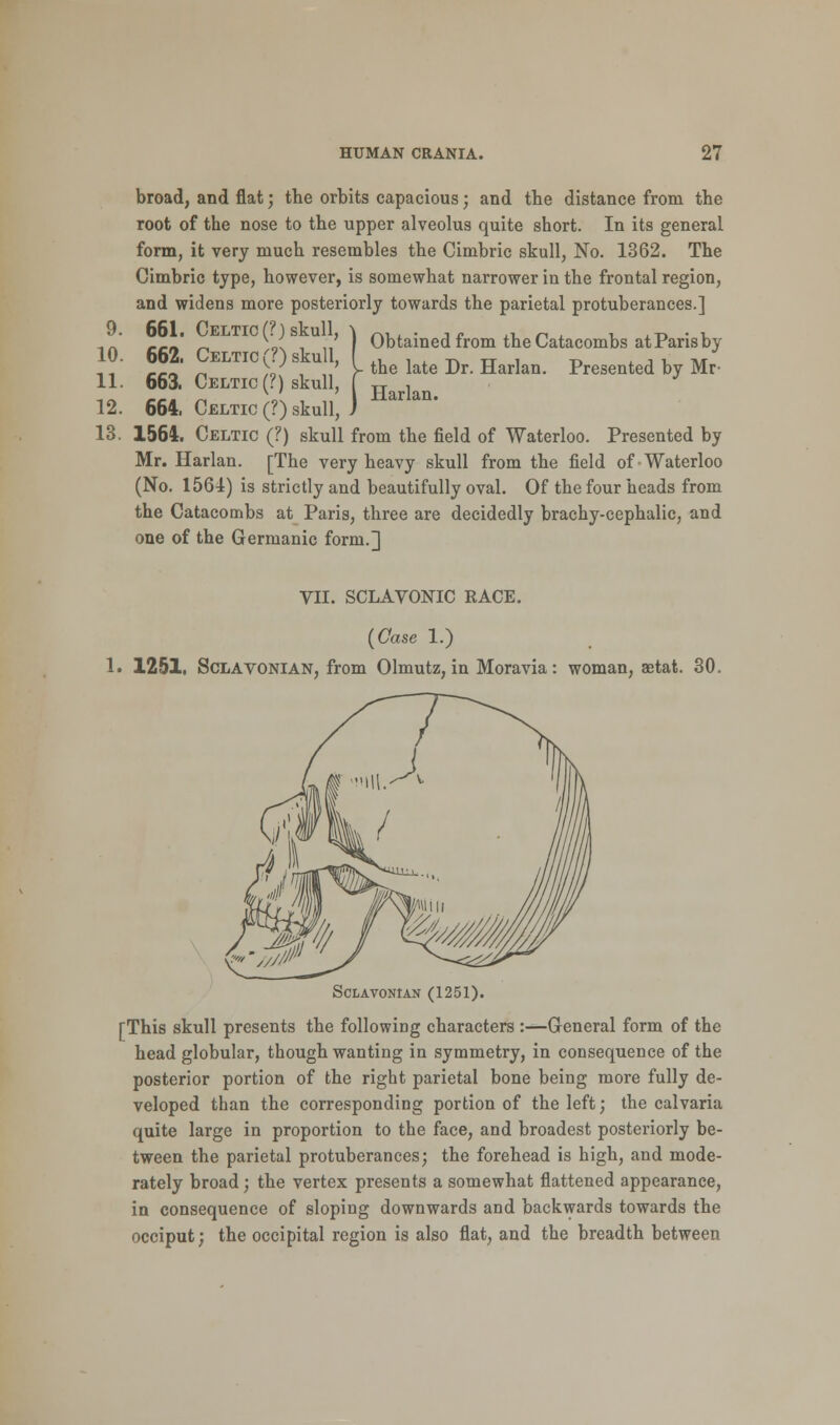 broad, and flat; the orbits capacious; and the distance from the root of the nose to the upper alveolus quite short. In its general form, it very much resembles the Cimbric skull, No. 1362. The Cimbric type, however, is somewhat narrower in the frontal region, and widens more posteriorly towards the parietal protuberances.] 9. 661. Celtic (?) skull, 10. 662. Celtic (?) skull, 11. 663. Celtic (?) skull, 12. 664. Celtic (?) skull, 13. 1564. Celtic (?) skull from the field of Waterloo. Presented by Mr. Harlan. [The very heavy skull from the field of-Waterloo (No. 1564) is strictly and beautifully oval. Of the four heads from the Catacombs at Paris, three are decidedly brachy-cephalic, and one of the Germanic form.] Obtained from the Catacombs at Paris by the late Dr. Harlan. Presented by Mr Harlan. VII. SCLAVONIC RACE. (Case 1.) 1. 1251, Sclavonian, from Olmutz, in Moravia: woman, aetat. 30. SCLATONtAN (1251). [This skull presents the following characters :—General form of the head globular, though wanting in symmetry, in consequence of the posterior portion of the right parietal bone being more fully de- veloped than the corresponding portion of the left; the calvaria quite large in proportion to the face, and broadest posteriorly be- tween the parietal protuberances; the forehead is high, and mode- rately broad; the vertex presents a somewhat flattened appearance, in consequence of sloping downwards and backwards towards the occiput; the occipital region is also flat, and the breadth between