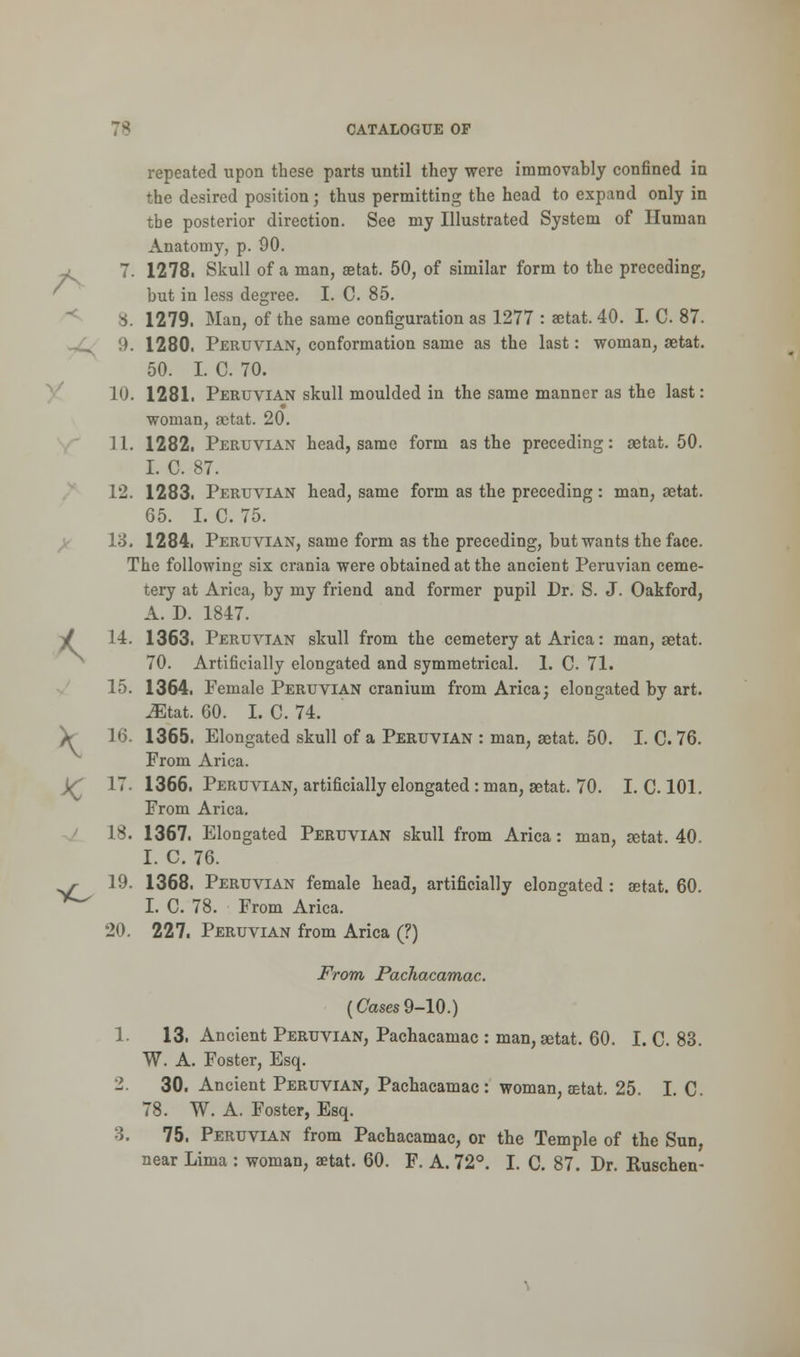 A repeated upon these parts until they were immovably confined in the desired position; thus permitting the head to expand only in tbe posterior direction. See my Illustrated System of Human Anatomy, p. 90. 7. 1278. Skull of a man, aetat. 50, of similar form to the preceding, but in less degree. I. C. 85. 8. 1279. Man, of the same configuration as 1277 : aetat. 40. I. C. 87. 9. 1280. Peruvian, conformation same as the last: woman, aetat. 50. I. C. 70. 10. 1281. Peruvian skull moulded in the same manner as the last: woman, aetat. 20. ] 1. 1282. Peruvian head, same form as the preceding: aetat. 50. I. C. 87. 12. 1283. Peruvian head, same form as the preceding: man, aetat. 65. I. C. 75. 13. 1284, Peruvian, same form as the preceding, but wants the face. The following six crania were obtained at the ancient Peruvian ceme- tery at Arica, by my friend and former pupil Dr. S. J. Oakford, A. D. 1847. V 14. 1363. Peruvian skull from the cemetery at Arica: man, aetat. 70. Artificially elongated and symmetrical. 1. C. 71. 15. 1364. Female Peruvian cranium from Arica; elongated by art. Mtat. 60. I. C. 74. V 16. 1365. Elongated skull of a Peruvian : man, aetat. 50. I. C. 76. From Arica. J£ 17. 1366. Peruvian, artificially elongated : man, aetat. 70. I. C. 101. From Arica. 18. 1367. Elongated Peruvian skull from Arica: man, aotat. 40. I. C. 76. 19. 1368. Peruvian female head, artificially elongated : aetat. 60. I. C. 78. From Arica. 20. 227. Peruvian from Arica (?) From Pachacamac. (Cases 9-10.) 1. 13. Ancient Peruvian, Pachacamac : man, setat. 60. I. C. 83. W. A. Foster, Esq. 2. 30. Ancient Peruvian, Pachacamac: woman, aetat. 25. I. C. 78. W. A. Foster, Esq. 3. 75. Peruvian from Pachacamac, or the Temple of the Sun, near Lima : woman, aetat. 60. F. A. 72°. I. C. 87. Dr. Ruschen- >c