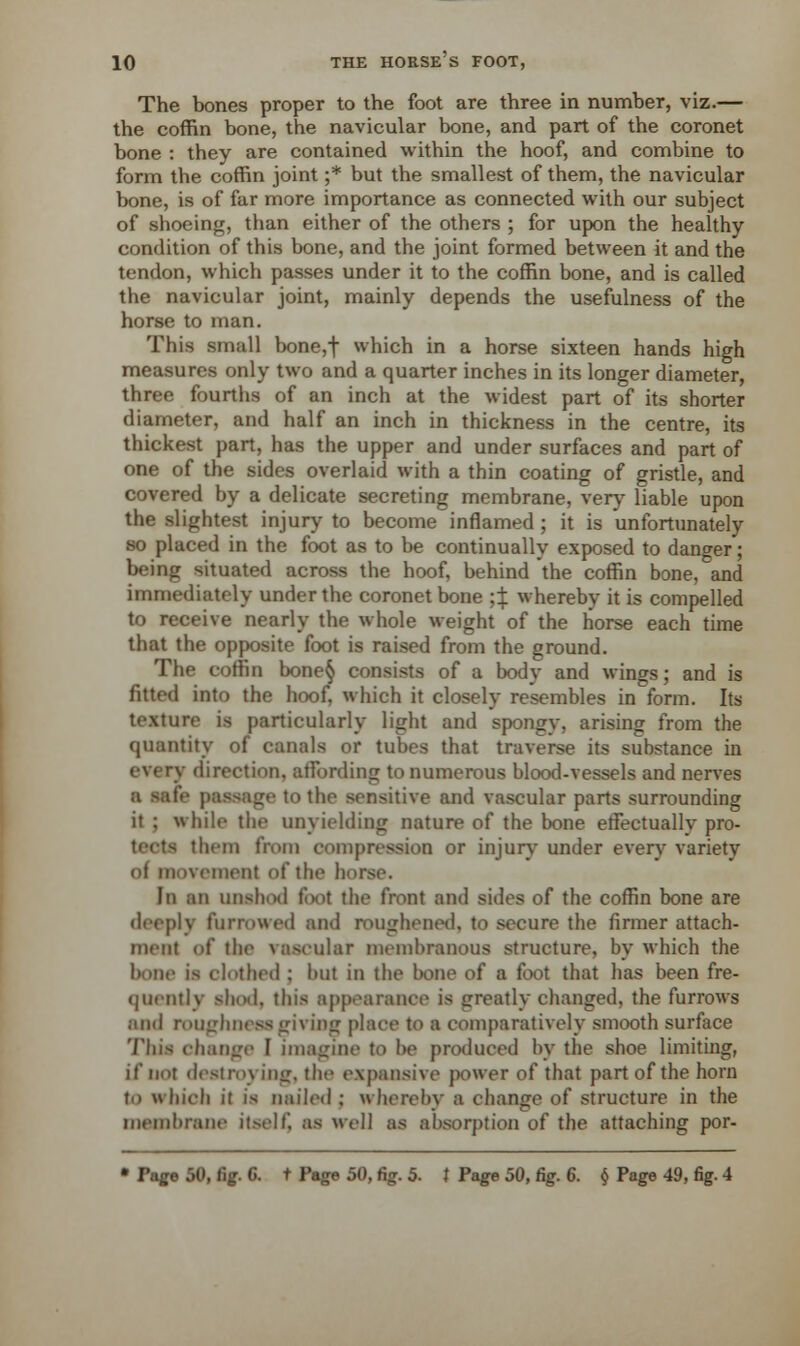 The bones proper to the foot are three in number, viz.— the coffin bone, the navicular bone, and part of the coronet bone : they are contained within the hoof, and combine to form the coffin joint ;* but the smallest of them, the navicular bone, is of far more importance as connected with our subject of shoeing, than either of the others ; for upon the healthy condition of this bone, and the joint formed between it and the tendon, which passes under it to the coffin bone, and is called the navicular joint, mainly depends the usefulness of the horse to man. This small bone,t which in a horse sixteen hands high measures only two and a quarter inches in its longer diameter, three fourths of an inch at the widest part of its shorter diameter, and half an inch in thickness in the centre, its thickest part, has the upper and under surfaces and part of one of the sides overlaid with a thin coating of gristle, and covered by a delicate secreting membrane, very liable upon the slightest injury to become inflamed; it is unfortunately so placed in the foot as to be continually exposed to danger; being situated across the hoof, behind the coffin bone, and immediately under the coronet bone ;X whereby it is compelled to receive nearly the whole weight of the horse each time that the opposite foot is raised from the ground. The coflin bone§ consists of a body and wings; and is fitted into the hoof, which it closely resembles in form. Its texture is particularly light and spongy, arising from the quantity of canals or tubes that traverse its substance in every direction, affording to numerous blood-vessels and nerves ■ safe passage to the sensitive and vascular parts surrounding it ; while the unyielding nature of the bone effectually pro- thein from compression or injury under every variety of movement of the hoi In an unshod foot the front and sides of the coflin bone are deeply furrowed and roughened, to secure the firmer attach- ment of the vascular membranous structure, by which the bone is clothed ; hut in the bone of a foot that has been fre- quently shod, this appearance is greatly changed, the furrows and roughness giving place to a comparatively smooth surface This change I imagine to he produced by the shoe limiting, if not destroy ing, the expansive power of that part of the horn to which it is nailed ; whereby a change of structure in the membrane itself, as well as absorption of the attaching por- • Page 50, fig. C. t Page 50, fig. 5. } Page 50, fig. 6. $ Page 49, fig. 4