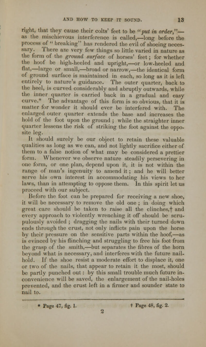 right, that they cause their colts' feet to be put in order,'''— us the mischievous interference is called,—long before the process ef  breaking baa rendered the evil of shoeing neces- sary. Their arc wry few things so little varied in nature as the form of tin; ground .surface of horses' feet; for whether the hoof be high-heeled and upright,—or low-heeled and flat,—large or small,—broad or narrow,—the identical form of ground surface is maintained in each, so long as it is left entirely to nature's guidance. The outer quarter, back to the heel, is curved considerably and abruptly outwards, while the inner quarter is carried back in a gradual and easy curve.* The advantage of this form is so obvious, that it is mailer for wonder it should ever be interfered with. The enlarged outer quarter extends the base and increases the hold of the foot upon the ground ; while the straighter inner quarter lessens the risk of striking the foot against the oppo- site leg. It should surely be our object to retain these valuable qualities as long as we can, and not lightly sacrifice either of them to a false notion of what may be considered a prettier form. Whenever we observe nature steadily persevering in one form, or one plan, depend upon it, it is not within the range of man's ingenuity to amend it; and he will better serve his own interest in accommodating his views to her laws, than in attempting to oppose them, in this spirit let us proceed with our subject. Before the foot can be prepared for receiving a new shoe, it will be necessary to remove the old one ; in doing which greal care should be taken to raise all the clinches,! and ever) approach to violently wrenching it off should be scru- pulously avoided ; dragging the nails with their turned down ends through the crust, not only inflicts pain upon the horse b\ their pressure on the sensitive parts within the hoof,—as is evinced by his flinching and struggling to free his foot from the grasp of the smith,—but separates the fibres of the horn beyond what is necessary, and interferes with the future nail- hold. If the shoe resist a moderate effort to displace it, one or two of the nails, that appear to retain it the most, should be partly punched out : by this small trouble much future in- convenience will be saved, the enlargement of the nail-holes prevented, and the crust left in a firmer and sounder state to nail to.