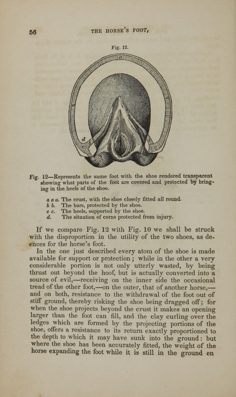 Fig. 12. Fig. 12—Represents the same foot with the shoe rendered transparent showing what parts of the foot are covered and protected by bring- ing in the heels of the shoe. a a a. The crust, with the shoe closely fitted all round. b b. The bars, protected by the shoe. c c. The heels, supported by the shoe. d. The situation of corns protected from injury. If we compare Fig. 12 with Fig. 10 we shall be struck with the disproportion in the utility of the two shoes, as de- ences for the horse's foot. In the one just described every atom of the shoe is made available for support or protection; while in the other a very considerable portion is not only utterly wasted, by being thrust out beyond the hoof, but is actually converted into a source of evil,—receiving on the inner side the occasional tread of the other foot,—on the outer, that of another horse,— and on both, resistance to the withdrawal of the foot out of stiff ground, thereby risking the shoe being dragged off; for when the shoe projects beyond the crust it makes an opening larger than the foot can fill, and the clay curling over the ledges which are formed by the projecting portions of the shoe, offers a resistance to its return exactly proportioned to the depth to which it may have sunk into the ground: but where the shoe has been accurately fitted, the weight of the horse expanding the foot while it is still in the ground en