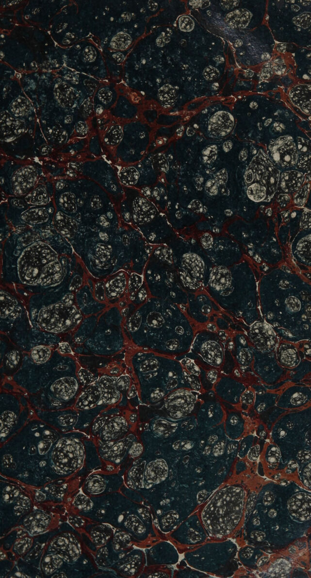 digitised image 3