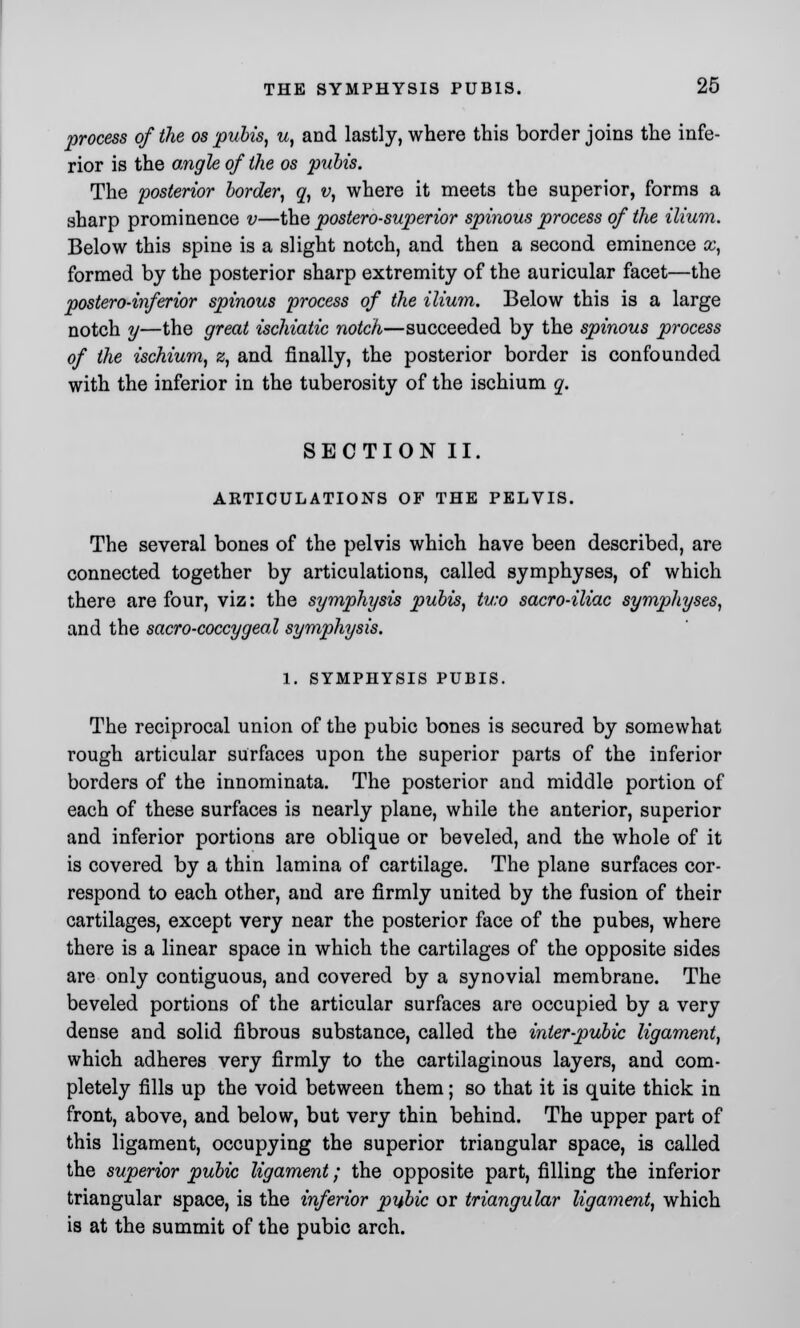 process of the os pubis, u, and lastly, where this border joins the infe- rior is the angle of the os pubis. The posterior border, q, v, where it meets the superior, forms a sharp prominence v—the postero-superior spinous process of the ilium. Below this spine is a slight notch, and then a second eminence x, formed by the posterior sharp extremity of the auricular facet—the postero-inferior spinous process of the ilium. Below this is a large notch y—the great ischiatic notch—succeeded by the spinous process of the ischium, z, and finally, the posterior border is confounded with the inferior in the tuberosity of the ischium q. SECTION II. ARTICULATIONS OF THE PELVIS. The several bones of the pelvis which have been described, are connected together by articulations, called symphyses, of which there are four, viz: the symphysis pubis, two sacro-iliac symphyses, and the sacro-coccygeal symphysis. 1. SYMPHYSIS PUBIS. The reciprocal union of the pubic bones is secured by somewhat rough articular surfaces upon the superior parts of the inferior borders of the innominata. The posterior and middle portion of each of these surfaces is nearly plane, while the anterior, superior and inferior portions are oblique or beveled, and the whole of it is covered by a thin lamina of cartilage. The plane surfaces cor- respond to each other, and are firmly united by the fusion of their cartilages, except very near the posterior face of the pubes, where there is a linear space in which the cartilages of the opposite sides are only contiguous, and covered by a synovial membrane. The beveled portions of the articular surfaces are occupied by a very dense and solid fibrous substance, called the inter-pubic ligament, which adheres very firmly to the cartilaginous layers, and com- pletely fills up the void between them; so that it is quite thick in front, above, and below, but very thin behind. The upper part of this ligament, occupying the superior triangular space, is called the superior pubic ligament; the opposite part, filling the inferior triangular space, is the inferior pubic or triangular ligament, which is at the summit of the pubic arch.