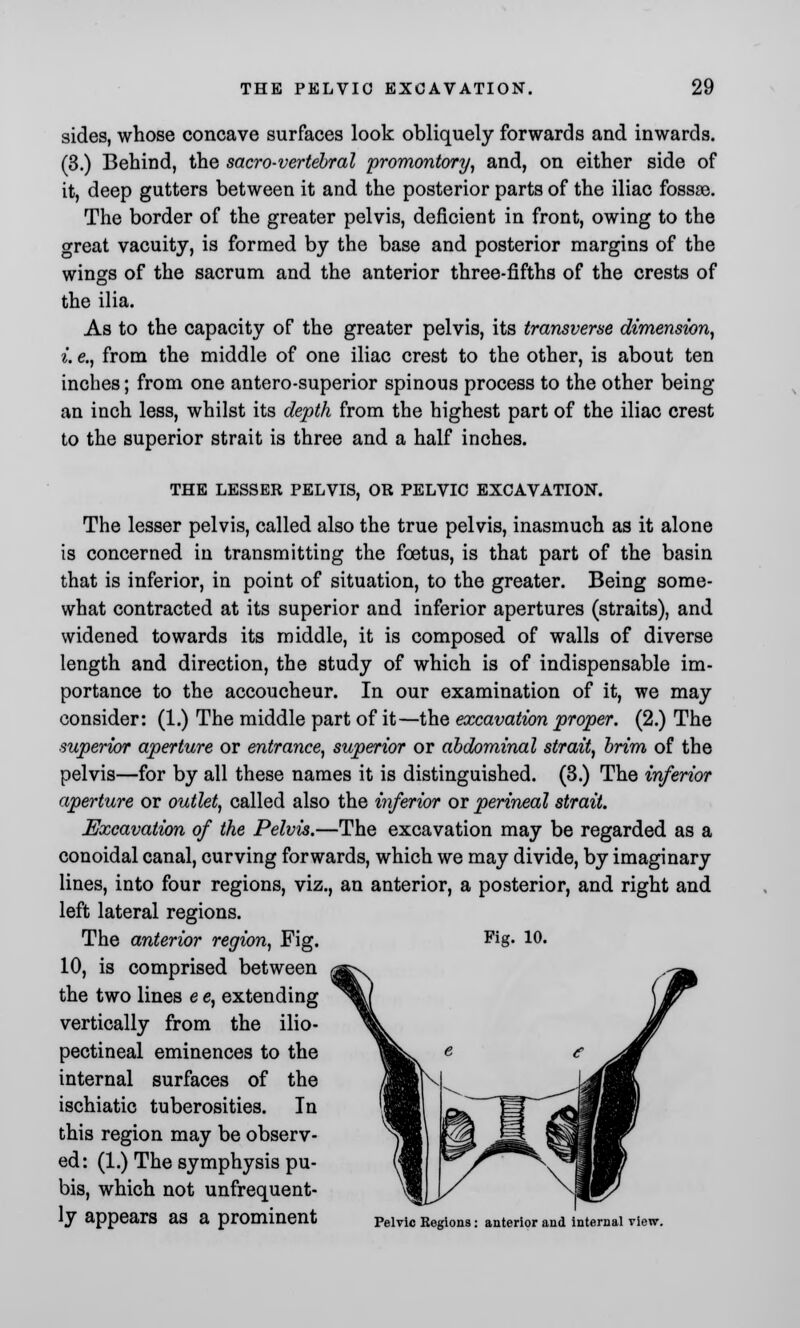 sides, whose concave surfaces look obliquely forwards and inwards. (3.) Behind, the sacro-vertebral promontory, and, on either side of it, deep gutters between it and the posterior parts of the iliac fossae. The border of the greater pelvis, deficient in front, owing to the great vacuity, is formed by the base and posterior margins of the wings of the sacrum and the anterior three-fifths of the crests of the ilia. As to the capacity of the greater pelvis, its transverse dimension, i. e., from the middle of one iliac crest to the other, is about ten inches; from one antero-superior spinous process to the other being an inch less, whilst its depth from the highest part of the iliac crest to the superior strait is three and a half inches. THE LESSER PELVIS, OR PELVIC EXCAVATION. The lesser pelvis, called also the true pelvis, inasmuch as it alone is concerned in transmitting the foetus, is that part of the basin that is inferior, in point of situation, to the greater. Being some- what contracted at its superior and inferior apertures (straits), and widened towards its middle, it is composed of walls of diverse length and direction, the study of which is of indispensable im- portance to the accoucheur. In our examination of it, we may consider: (1.) The middle part of it—the excavation proper. (2.) The superior aperture or entrance, superior or abdominal strait, brim of the pelvis—for by all these names it is distinguished. (3.) The inferior aperture or outlet, called also the inferior or perineal strait. Excavation of the Pelvis.—The excavation may be regarded as a conoidal canal, curving forwards, which we may divide, by imaginary lines, into four regions, viz., an anterior, a posterior, and right and left lateral regions. The anterior region, Fig. 10, is comprised between the two lines e e, extending vertically from the ilio- pectineal eminences to the internal surfaces of the ischiatic tuberosities. In this region may be observ- ed: (1.) The symphysis pu- bis, which not unfrequent- ly appears as a prominent Fig. 10. Pelvic Regions: anterior and internal view.