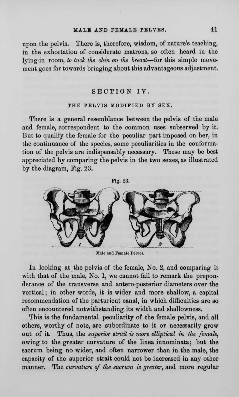 upon the pelvis. There is, therefore, wisdom, of nature's teaching, in the exhortation of considerate matrons, so often heard in the lying-in room, to tuck the chin on the breast—for this simple move- ment goes far towards bringing about this advantageous adjustment. SECTION IV THE PELVIS MODIFIED BY SEX. There is a general resemblance between the pelvis of the male and female, correspondent to the common uses subserved by it. But to qualify the female for the peculiar part imposed on her, in the continuance of the species, some peculiarities in the conforma- tion of the pelvis are indispensably necessary. These may be best appreciated by comparing the pelvis in the two sexes, as illustrated by the diagram, Fig. 23. Fig. 23. Male and Female Pelves. In looking at the pelvis of the female, No. 2, and comparing it with that of the male, No. 1, we cannot fail to remark the prepon- derance of the transverse and antero-posterior diameters over the vertical; in other words, it is wider and more shallow, a capital recommendation of the parturient canal, in which difficulties are so often encountered notwithstanding its width and shallowness. This is the fundamental peculiarity of the female pelvis, and all others, worthy of note, are subordinate to it or necessarily grow out of it. Thus, the superior strait is more elliptical in the female, owing to the greater curvature of the linea innominata; but the sacrum being no wider, and often narrower than in the male, the capacity of the superior strait could not be increased in any other manner. The curvature of the sacrum is greater, and more regular