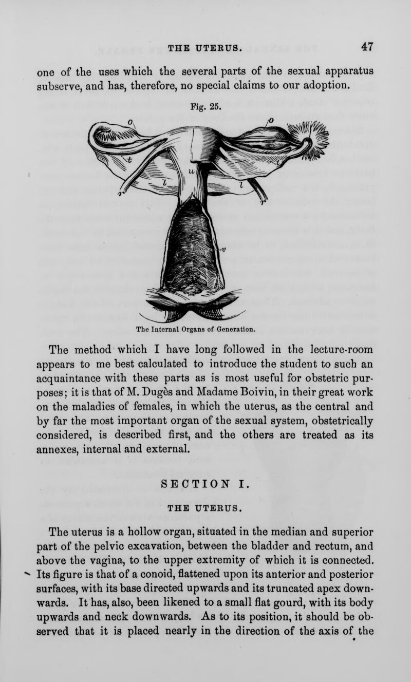 one of the uses which the several parts of the sexual apparatus subserve, and has, therefore, no special claims to our adoption. Fig. 25. The Internal Organs of Generation. The method which I have long followed in the lecture-room appears to me best calculated to introduce the student to such an acquaintance with these parts as is most useful for obstetric pur- poses ; it is that of M. Duges and Madame Boivin, in their great work on the maladies of females, in which the uterus, as the central and by far the most important organ of the sexual system, obstetrically considered, is described first, and the others are treated as its annexes, internal and external. SECTION I. THE UTERUS. The uterus is a hollow organ, situated in the median and superior part of the pelvic excavation, between the bladder and rectum, and above the vagina, to the upper extremity of which it is connected. Its figure is that of a conoid, flattened upon its anterior and posterior surfaces, with its base directed upwards and its truncated apex down- wards. It has, also, been likened to a small flat gourd, with its body upwards and neck downwards. As to its position, it should be ob- served that it is placed nearly in the direction of the axis of the