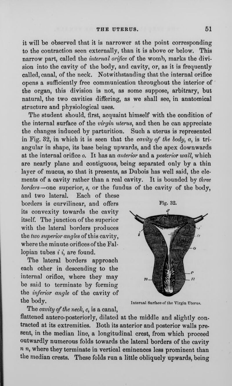 it will be observed that it is narrower at the point corresponding to the contraction seen externally, than it is above or below. This narrow part, called the internal orifice of the womb, marks the divi- sion into the cavity of the body, and cavity, or, as it is frequently called, canal, of the neck. Notwithstanding that the internal orifice opens a sufficiently free communication throughout the interior of the organ, this division is not, as some suppose, arbitrary, but natural, the two cavities differing, as we shall see, in anatomical structure and physiological uses. The student should, first, acquaint himself with the condition of the internal surface of the virgin uterus, and then he can appreciate the changes induced by parturition. Such a uterus is represented in Fig. 32, in which it is seen that the cavity of the body, a, is tri- angular in shape, its base being upwards, and the apex downwards at the internal orifice o. It has an anterior and a posterior wall, which are nearly plane and contiguous, being separated only by a thin layer of mucus, so that it presents, as Dubois has well said, the ele- ments of a cavity rather than a real cavity. It is bounded by three borders—one superior, s, or the fundus of the cavity of the body, and two lateral. Each of these borders is curvilinear, and offers its convexity towards the cavity itself. The j unction of the superior with the lateral borders produces the tiuo superior angles of this cavity, where the minute orifices of the Fal- lopian tubes i i, are found. The lateral borders approach each other in descending to the internal orifice, where they may be said to terminate by forming the inferior angle of the cavity of the body. The cavity of the neck, c, is a canal, flattened antero-posteriorly, dilated at the middle and slightly con- tracted at its extremities. Both its anterior and posterior walls pre- sent, in the median line, a longitudinal crest, from which proceed outwardly numerous folds towards the lateral borders of the cavity n n, where they terminate in vertical eminences less prominent than the median crests. These folds run a little obliquely upwards, being Fig. 32. Interual Surface of the Virgin Uterus.