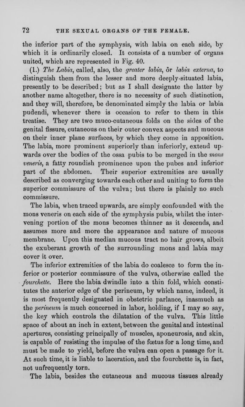 the inferior part of the symphysis, with labia on each side, by which it is ordinarily closed. It consists of a number of organs united, which are represented in Fig. 40. (I.) The Labia, called, also, the greater labia, or labia externa, to distinguish them from the lesser and more deeply-situated labia, presently to be described; but as I shall designate the latter by another name altogether, there is no necessity of such distinction, and they will, therefore, be denominated simply the labia or labia pudendi, whenever there is occasion to refer to them in this treatise. They are two muco-cutaneous folds on the sides of the genital fissure, cutaneous on their outer convex aspects and mucous on their inner plane surfaces, by which they come in apposition. The labia, more prominent superiorly than inferiorly, extend up- wards over the bodies of the ossa pubis to be merged in the mons veneris, a fatty roundish prominence upon the pubes and inferior part of the abdomen. Their superior extremities are usually described as converging towards each other and uniting to form the superior commissure of the vulva; but there is plainly no such commissure. The labia, when traced upwards, are simply confounded with the mons veneris on each side of the symphysis pubis, whilst the inter- vening portion of the mons becomes thinner as it descends, and assumes more and more the appearance and nature of mucous membrane. Upon this median mucous tract no hair grows, albeit the exuberant growth of the surrounding mons and labia may cover it over. The inferior extremities of the labia do coalesce to form the in- ferior or posterior commissure of the vulva, otherwise called the fourchette. Here the labia dwindle into a thin fold, which consti- tutes the anterior edge of the perineum, by which name, indeed, it is most frequently designated in obstetric parlance, inasmuch as the perineum is much concerned in labor, holding, if I may so say, the key which controls the dilatation of the vulva. This little space of about an inch in extent, between the genital and intestinal apertures, consisting principally of muscles, aponeurosis, and skin, is capable of resisting the impulse of the foetus for a long time, and must be made to yield, before the vulva can open a passage for it. At such time, it is liable to laceration, and the fourchette is, in fact, not unfrequently torn. The labia, besides the cutaneous and mucous tissues already